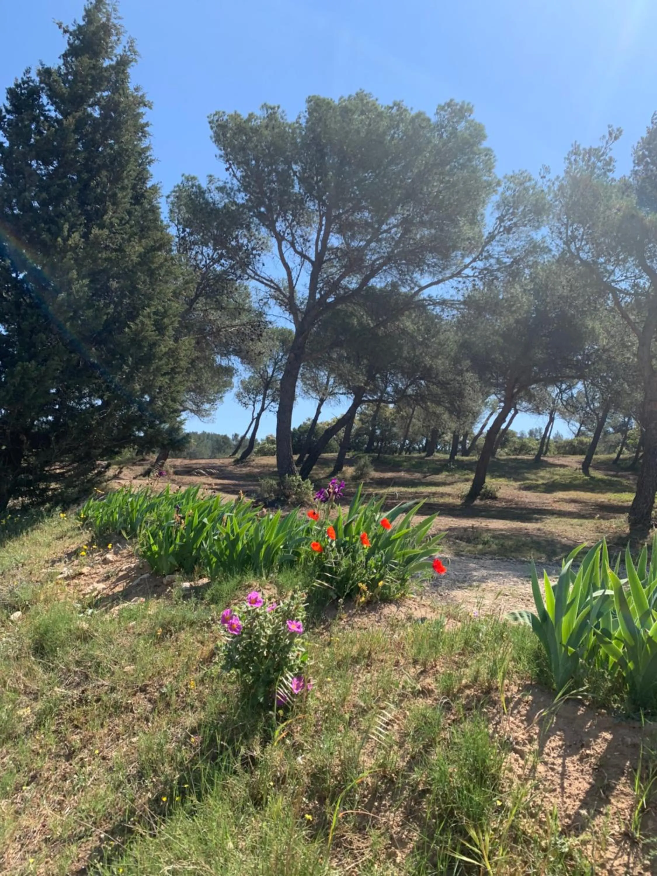 Un soir sous les étoiles