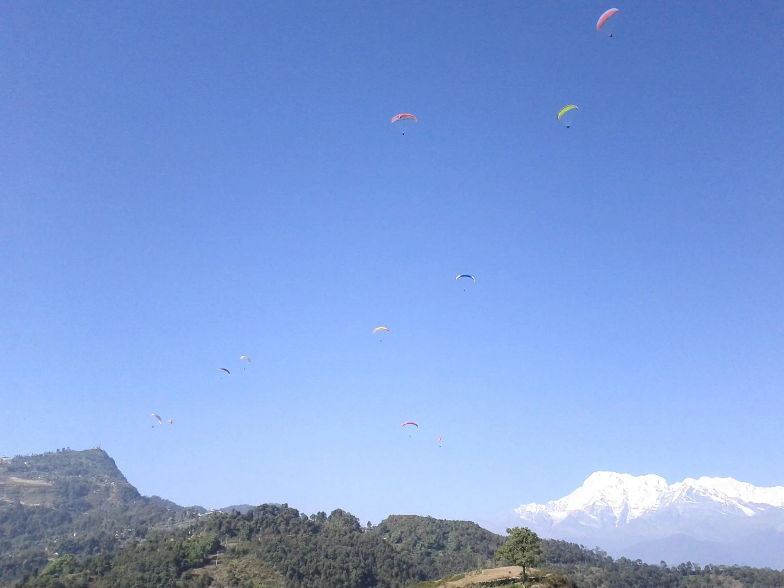 Area and facilities in Vardan Resort n' Apartment