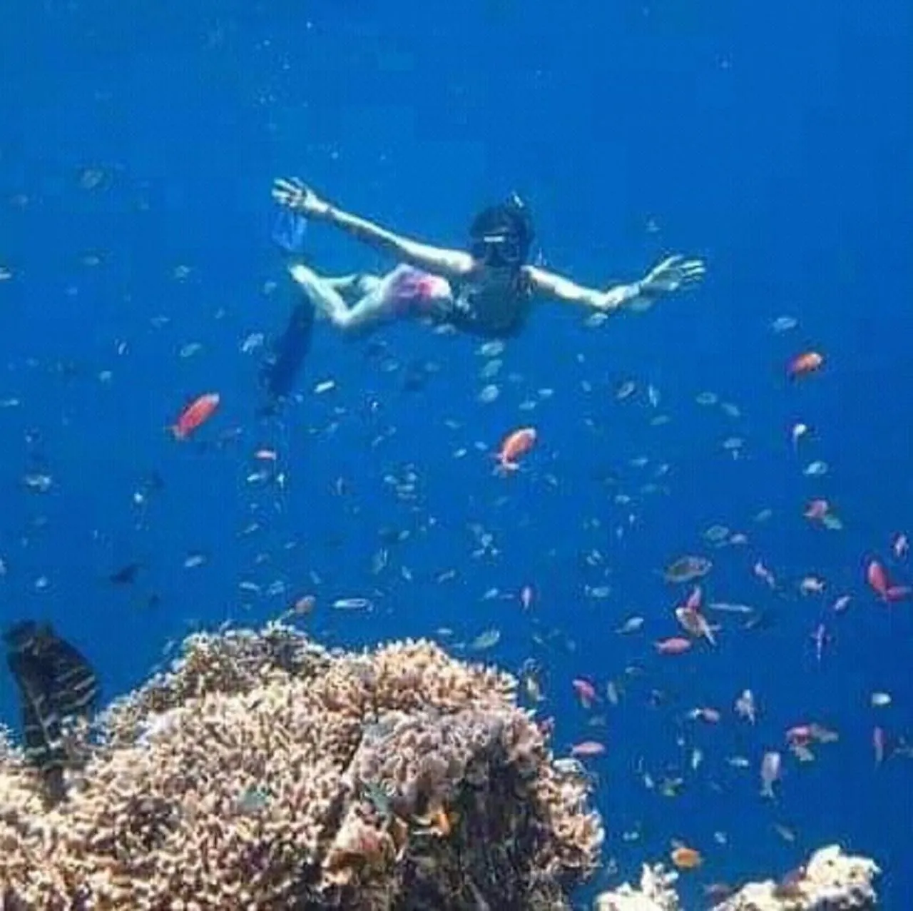 Snorkeling in Taman Menjangan by SnorkelingMenjangan