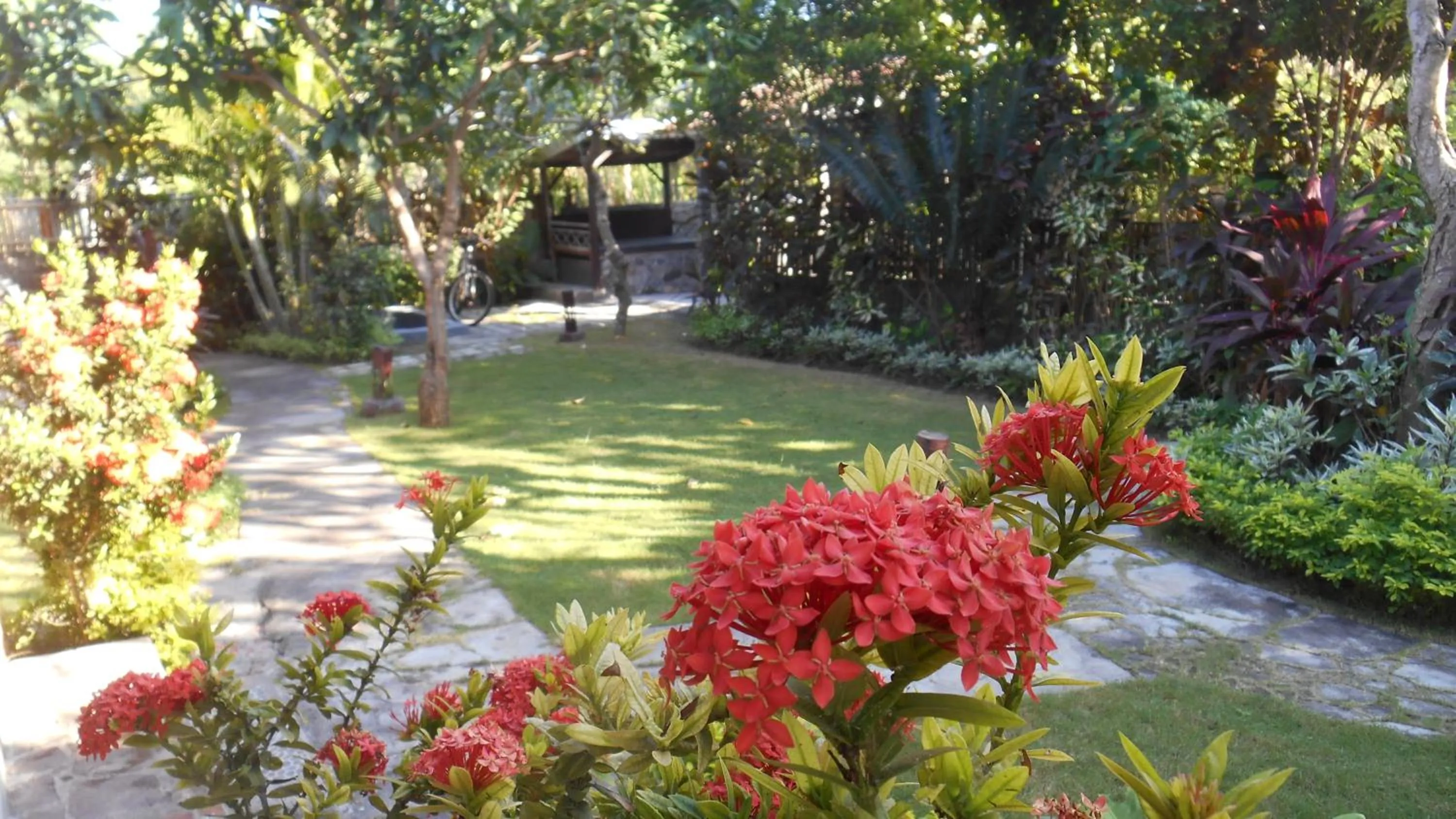 Garden view in Taman Menjangan by SnorkelingMenjangan