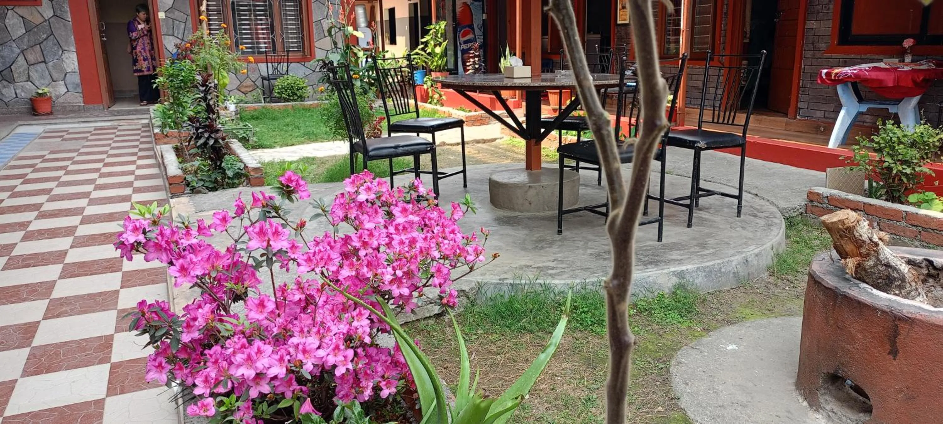 Garden view in Pokhara Metro Eco Hotel