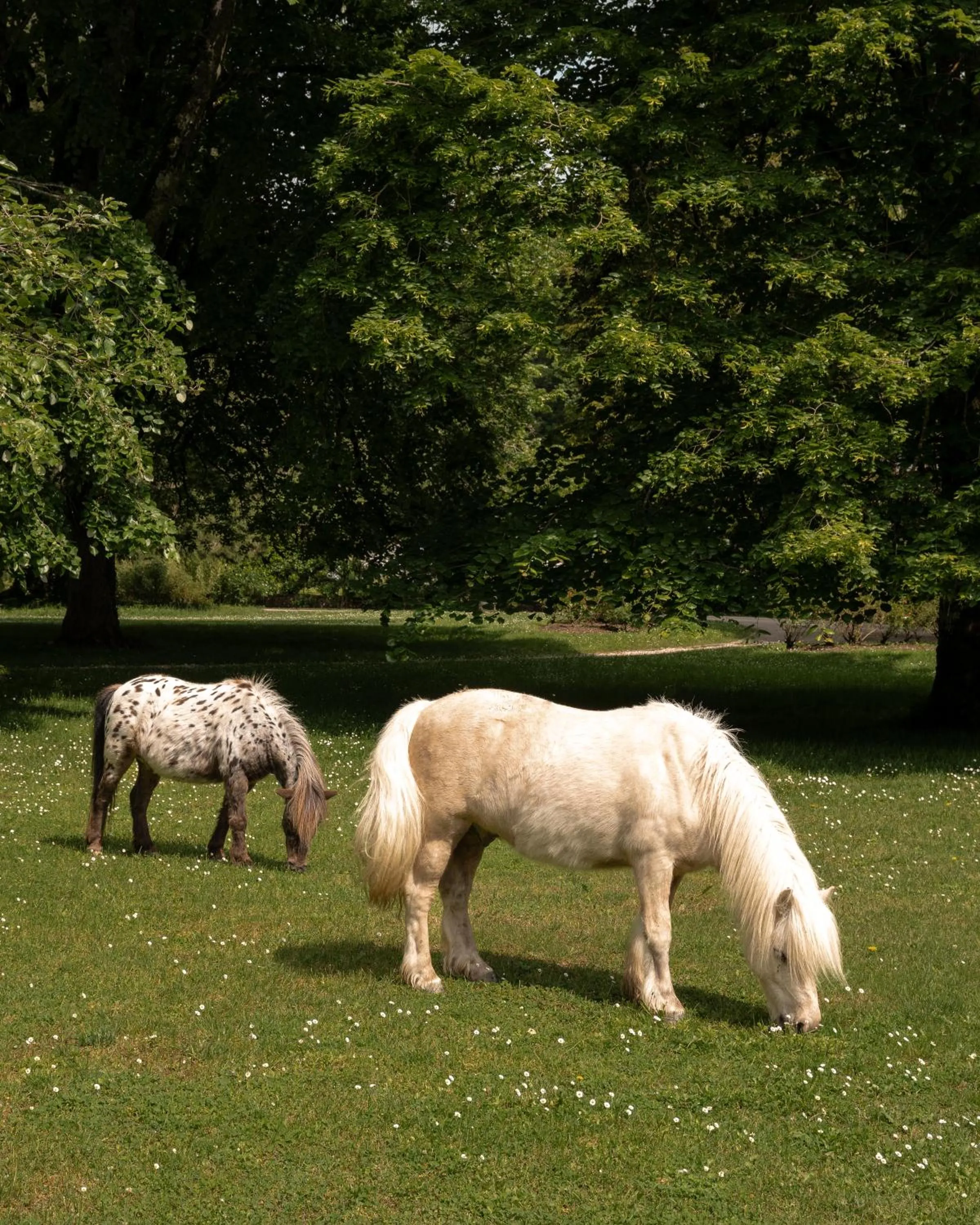 Abbaye de la Bussière