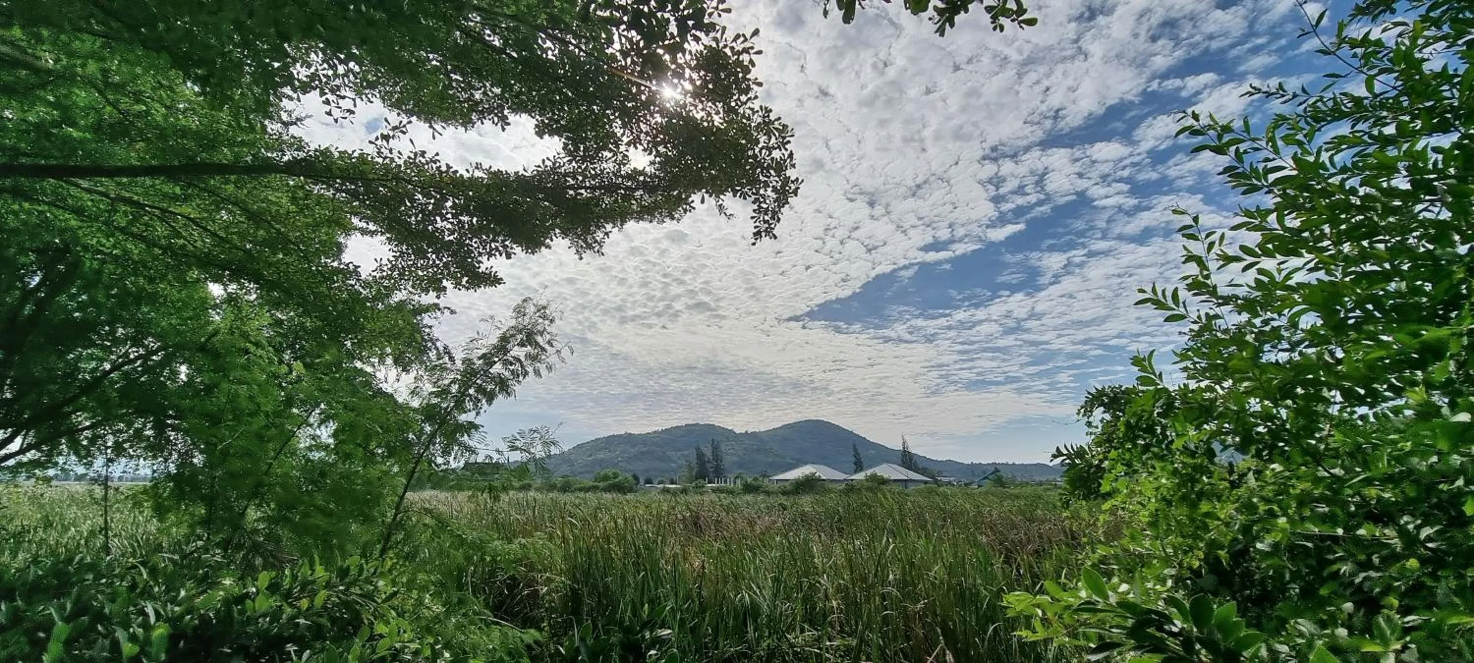 View (from property/room) in Chang Noi Hua Hin Pranburi fully accessible barrierefrei resort