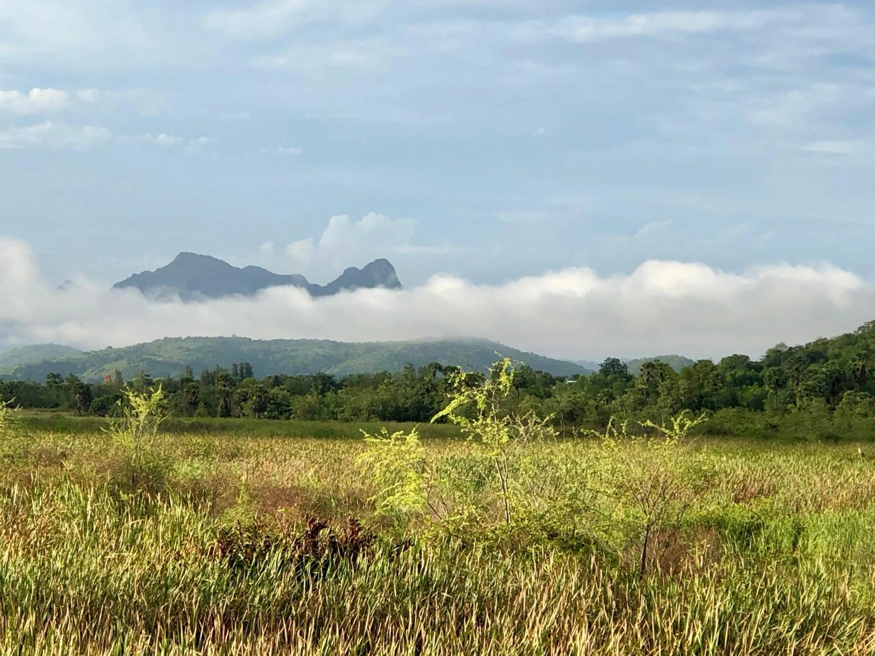 Natural landscape in Chang Noi Hua Hin Pranburi fully accessible barrierefrei resort
