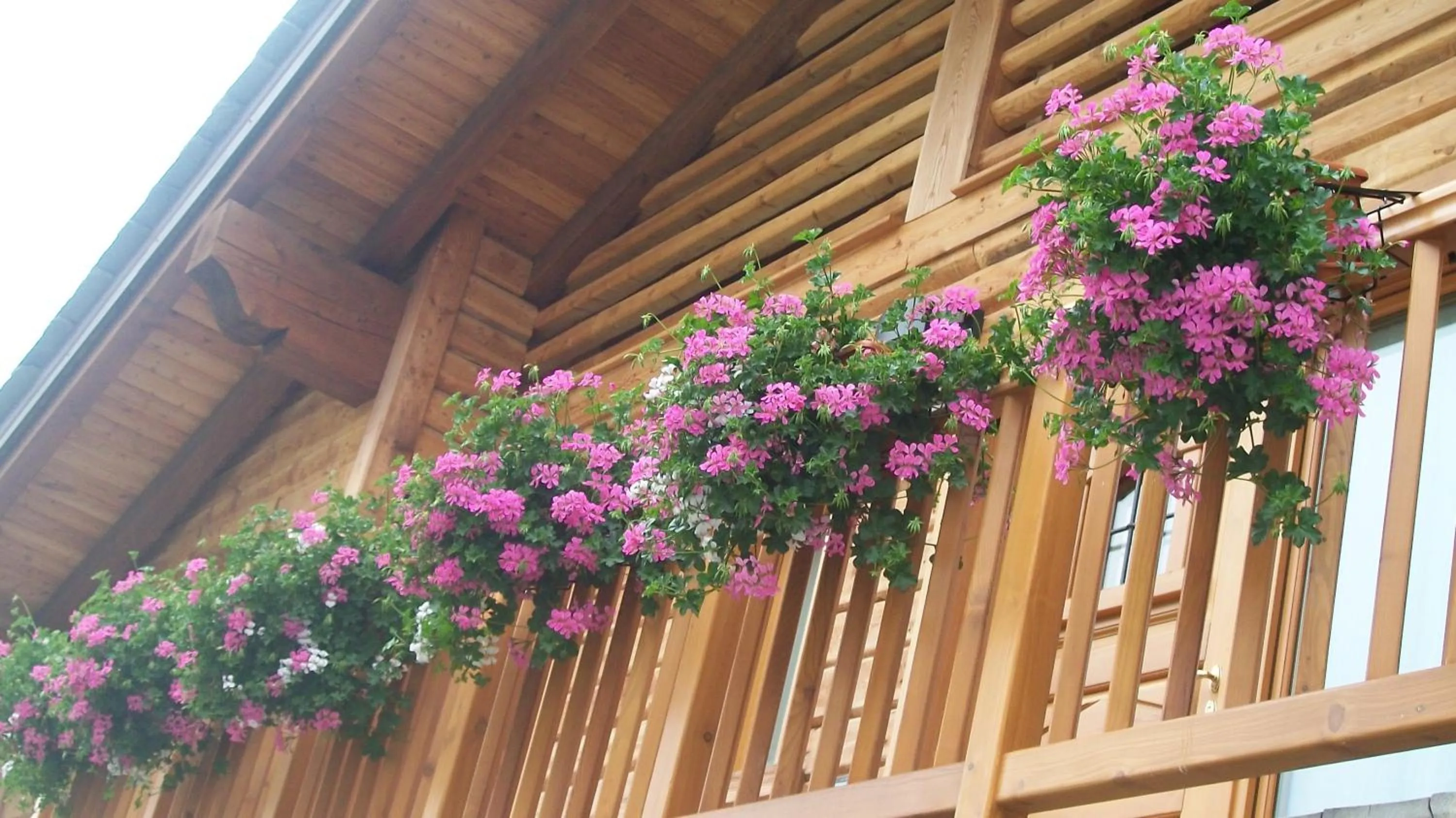 Day in Gresil Residence