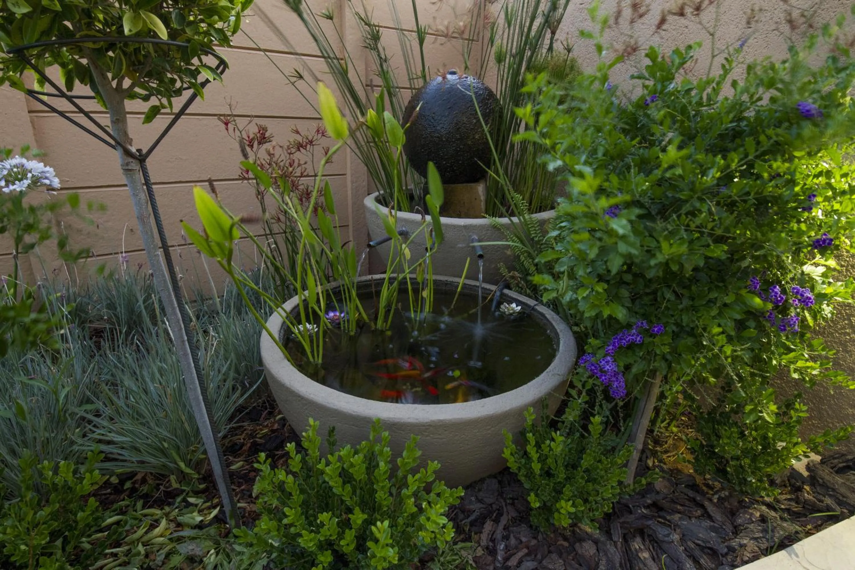 Garden in Bay View Guest House