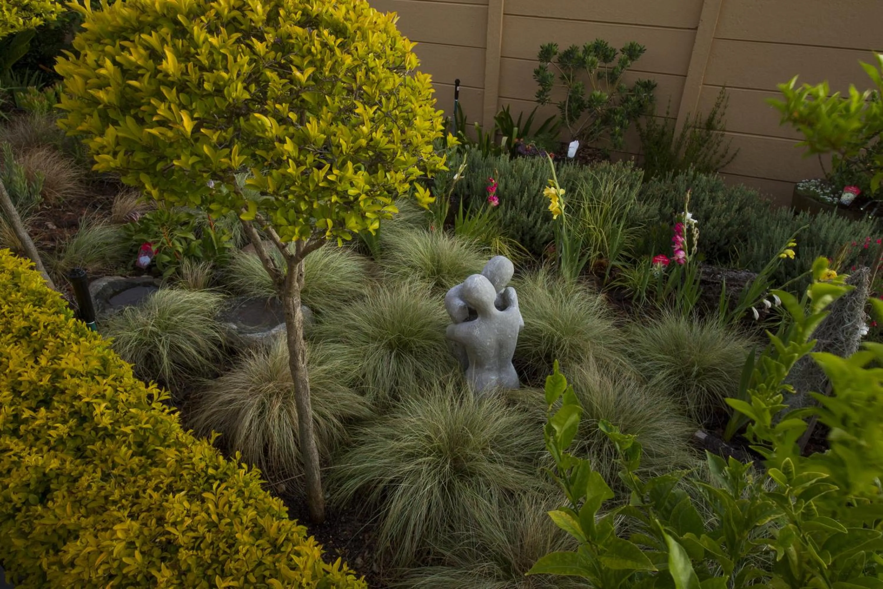 Garden in Bay View Guest House