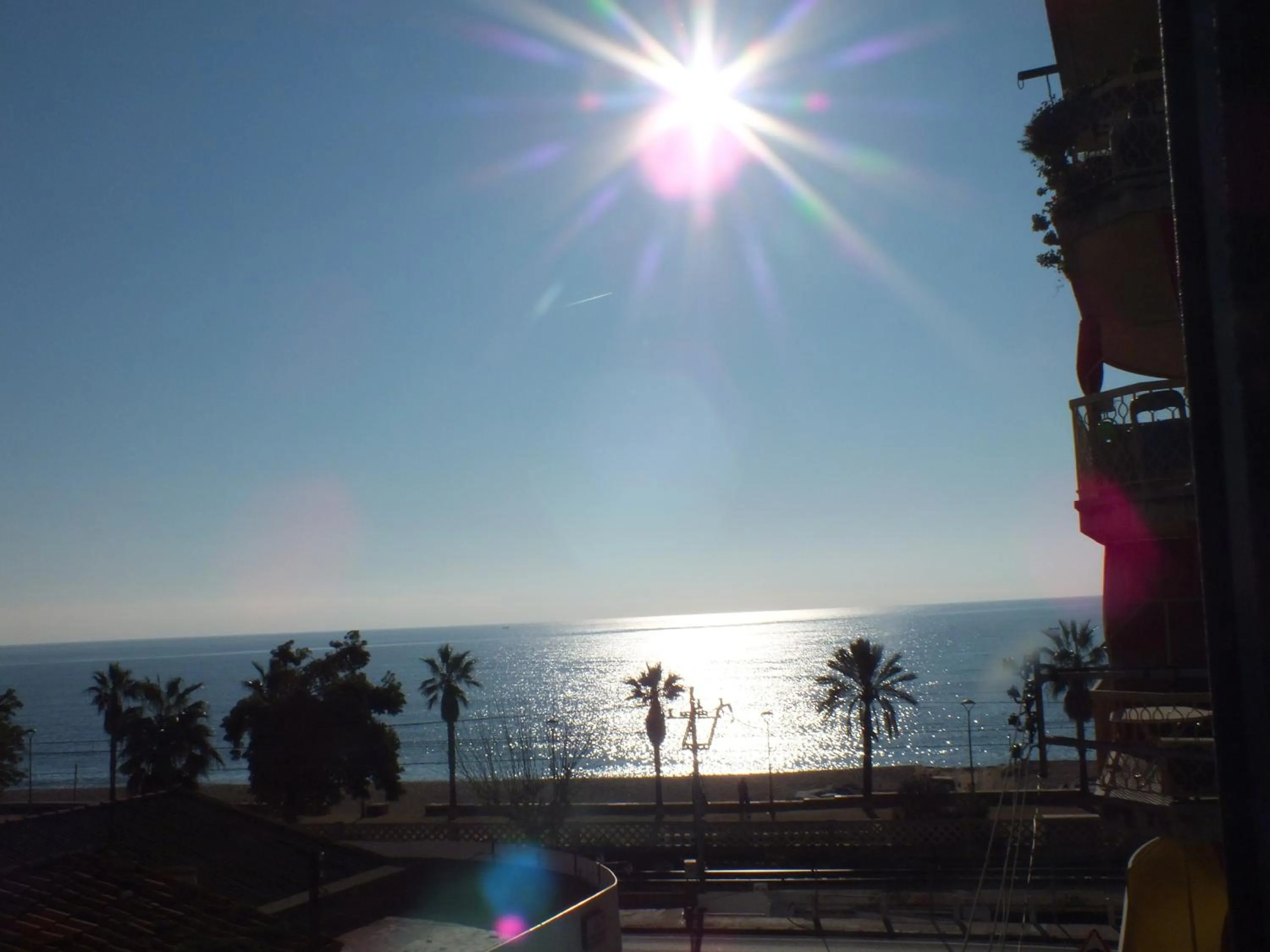 View (from property/room) in Hotel Mitus