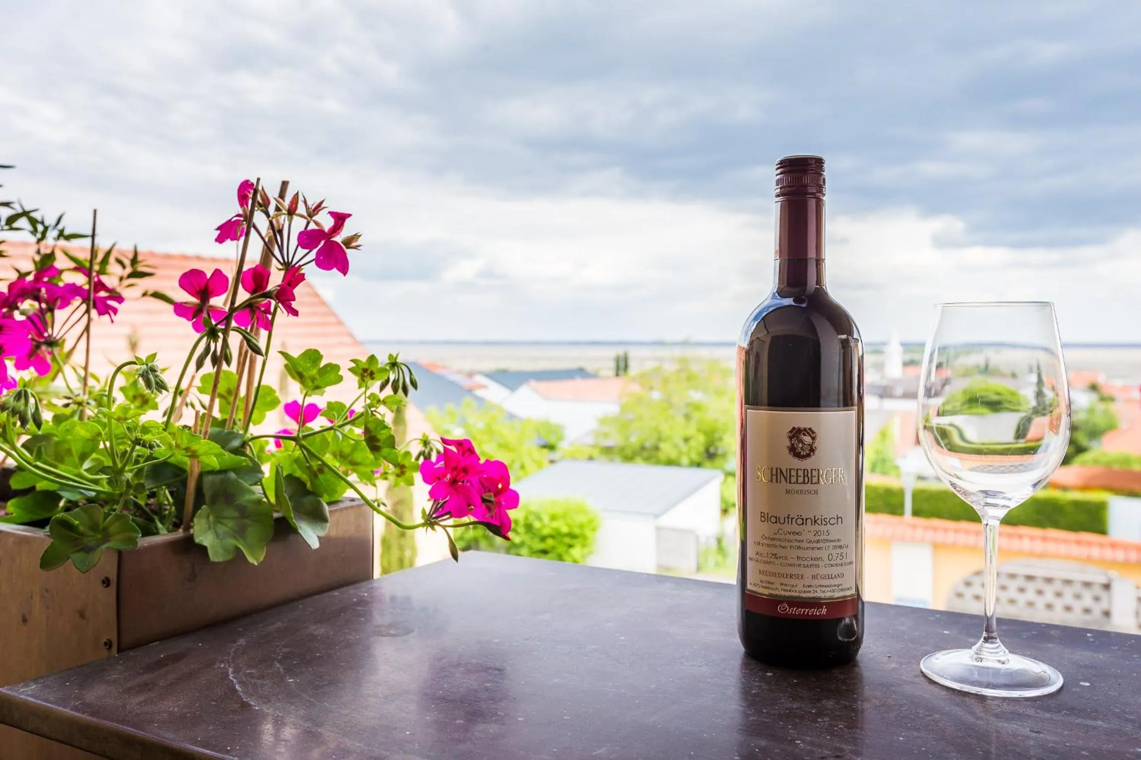 Lake view in Haus Martin - Schneeberger