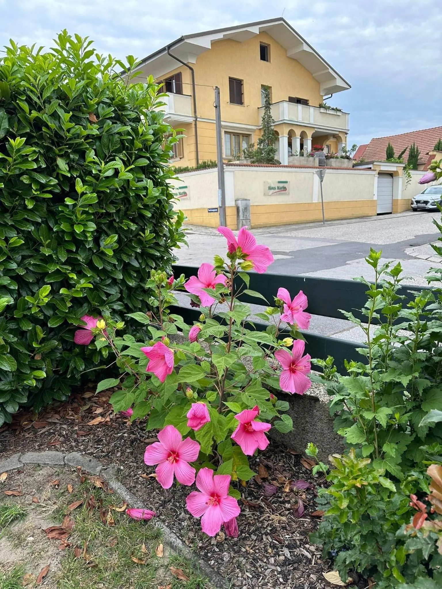 Property building in Haus Martin - Schneeberger