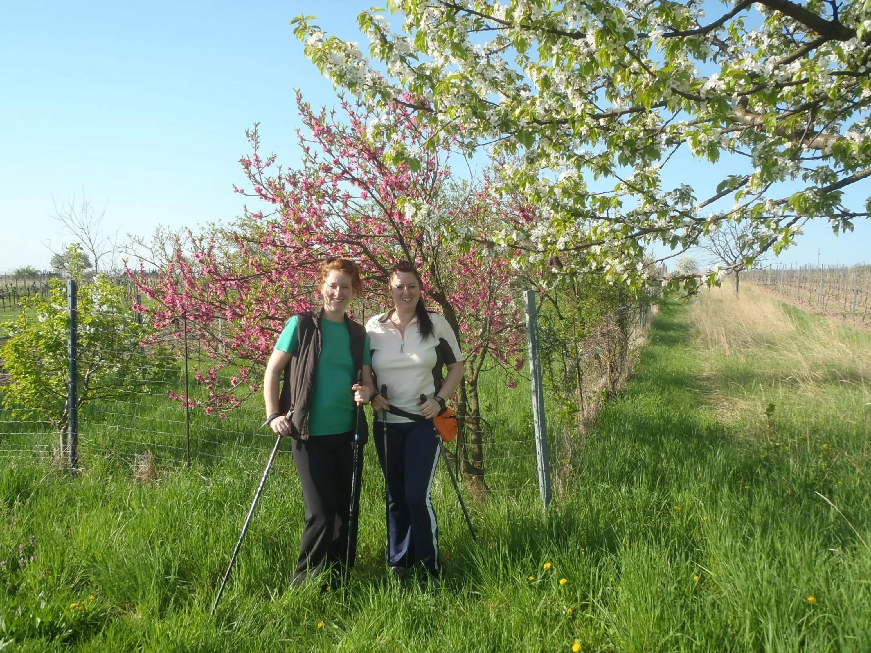 Spring in Haus Martin - Schneeberger