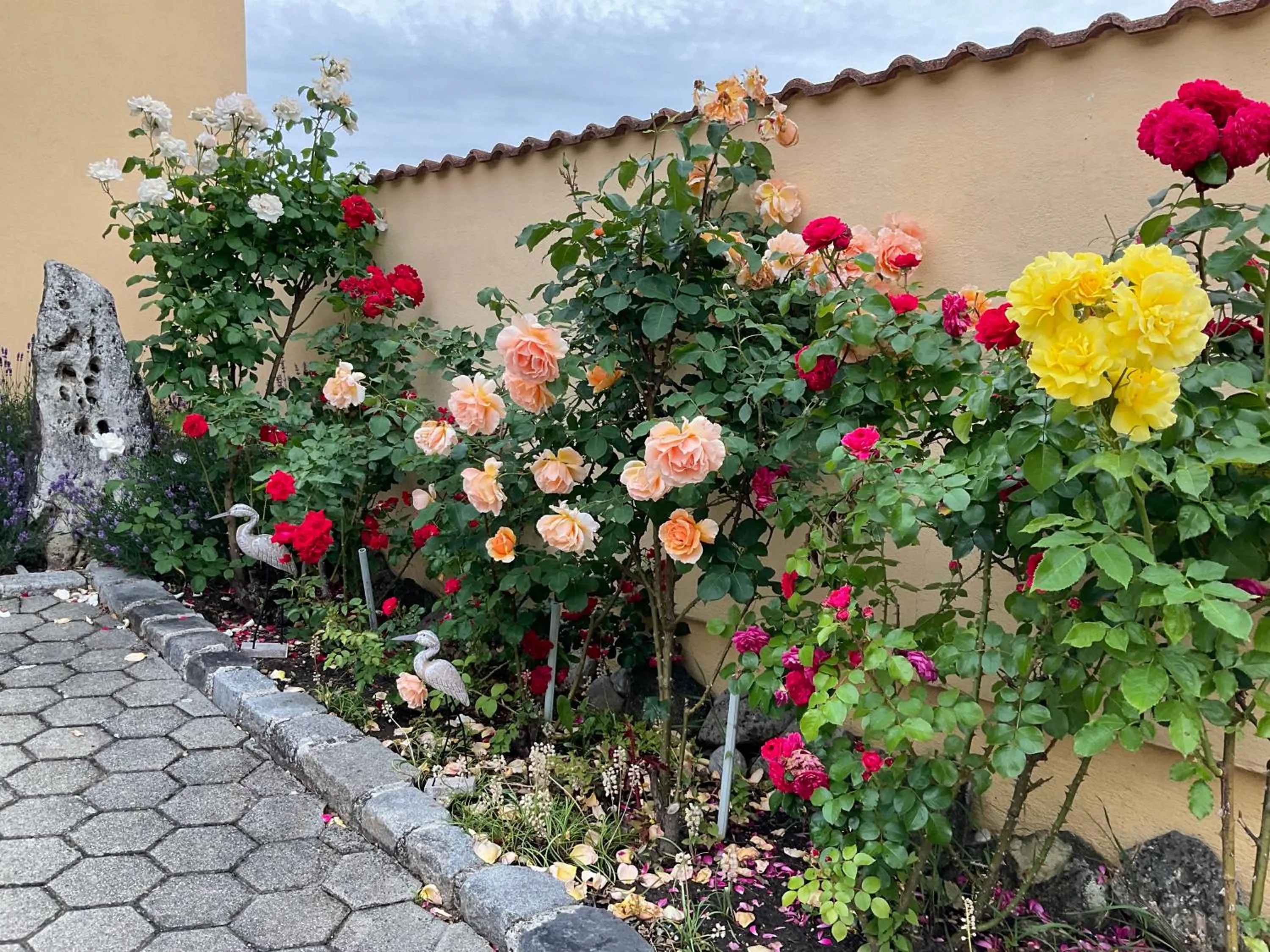 Garden view in Haus Martin - Schneeberger