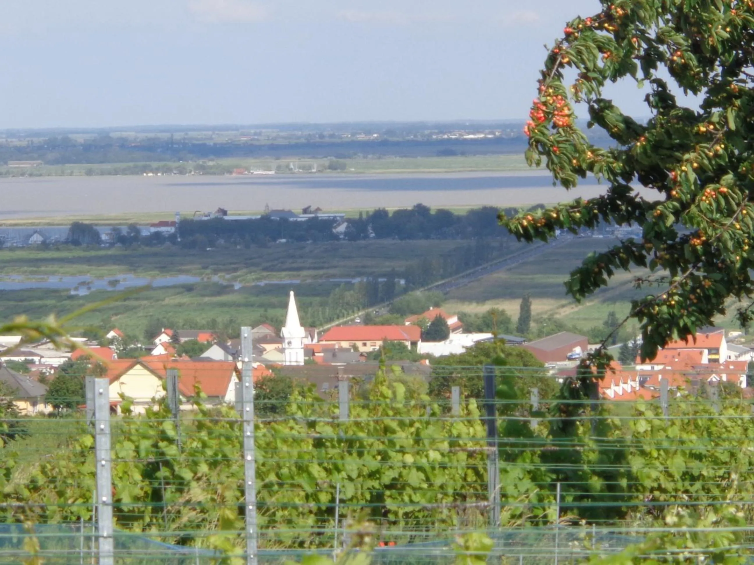 Natural landscape in Haus Martin - Schneeberger