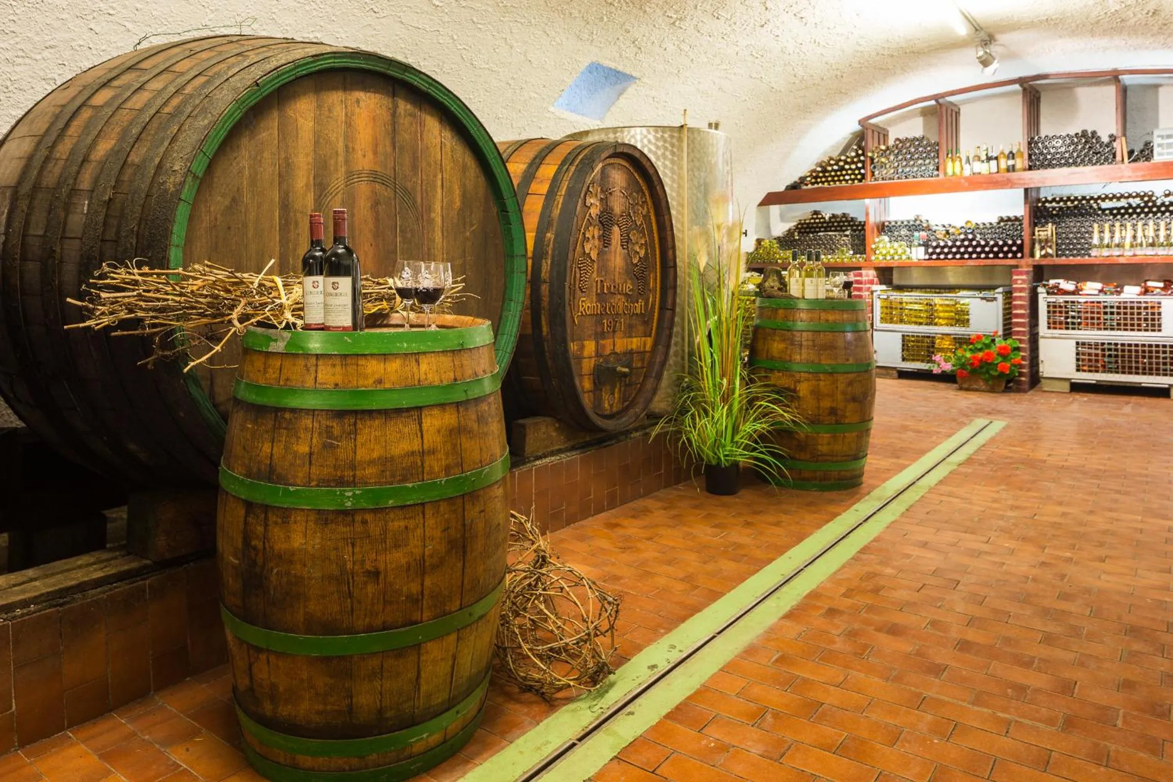 Banquet/Function facilities in Haus Martin - Schneeberger