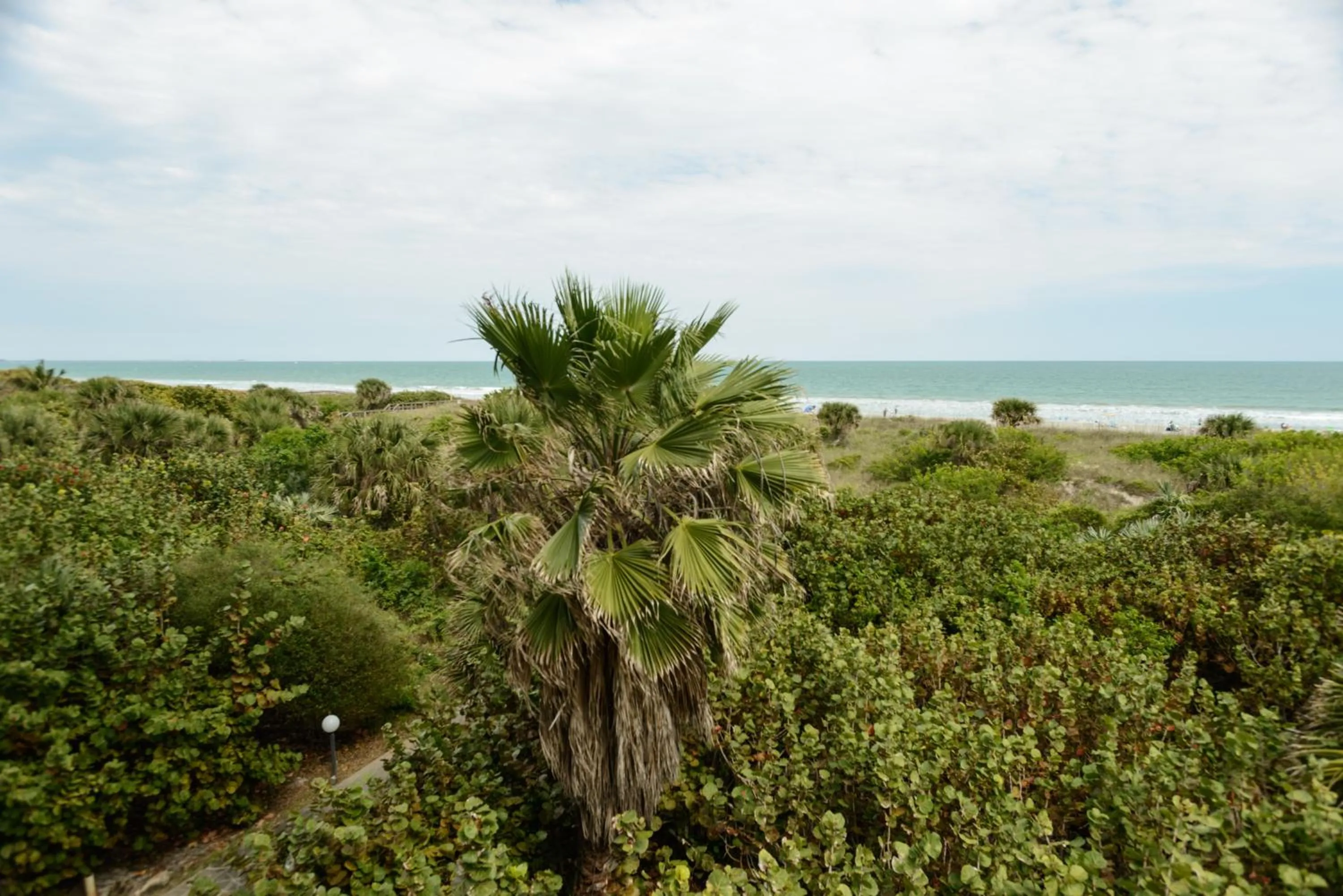 Beach in Discovery Beach Resort
