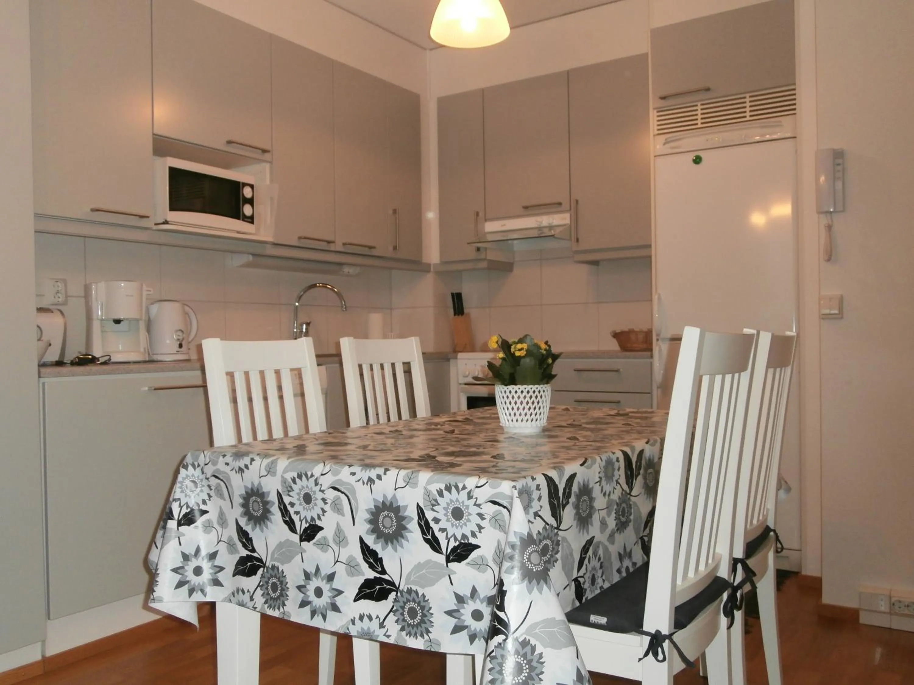 Kitchen or kitchenette in Huoneistohotelli Nallisuites
