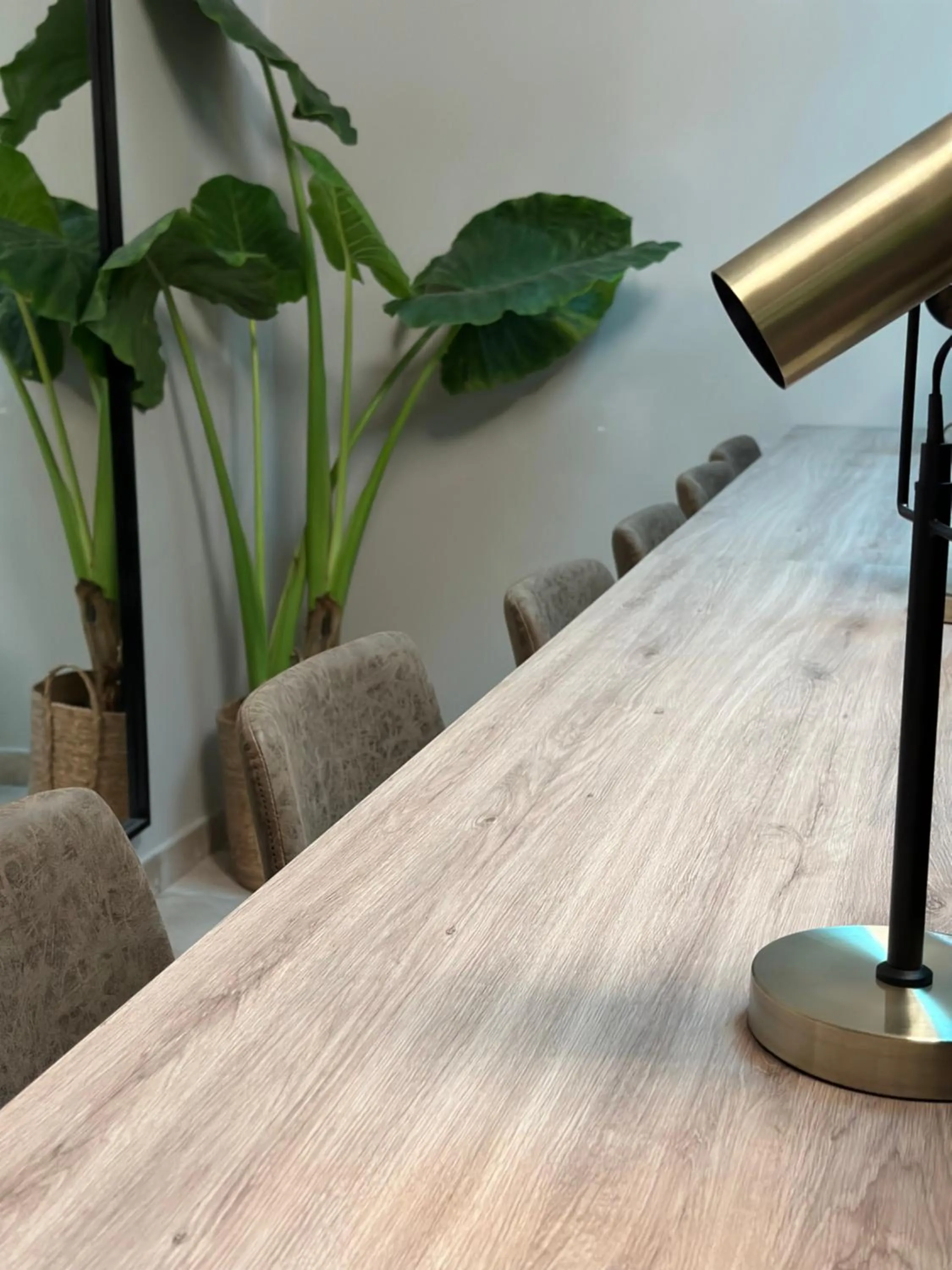 Meeting/conference room in Dos Patios Querétaro Curamoria Collection