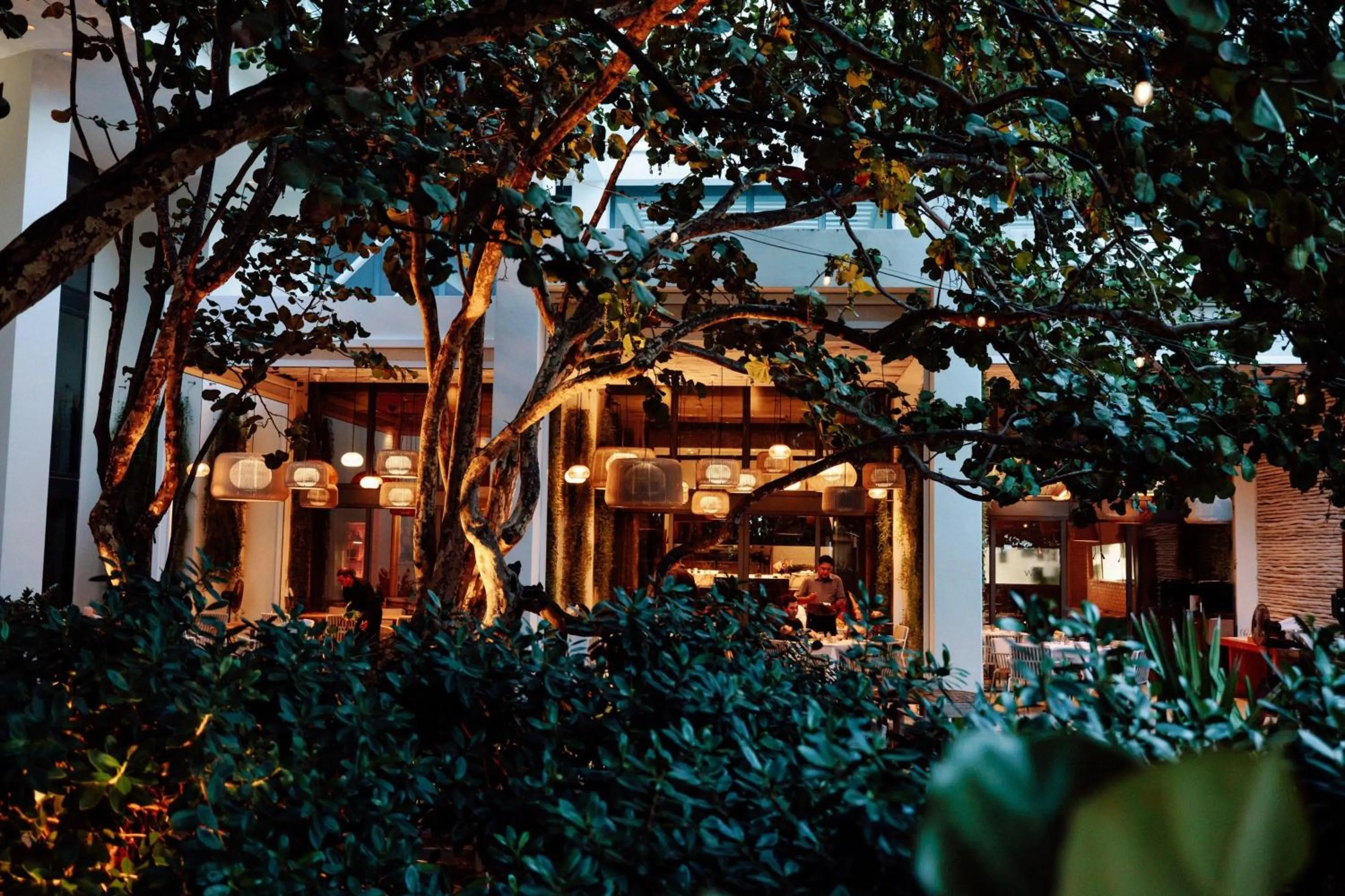 Restaurant/places to eat in W South Beach