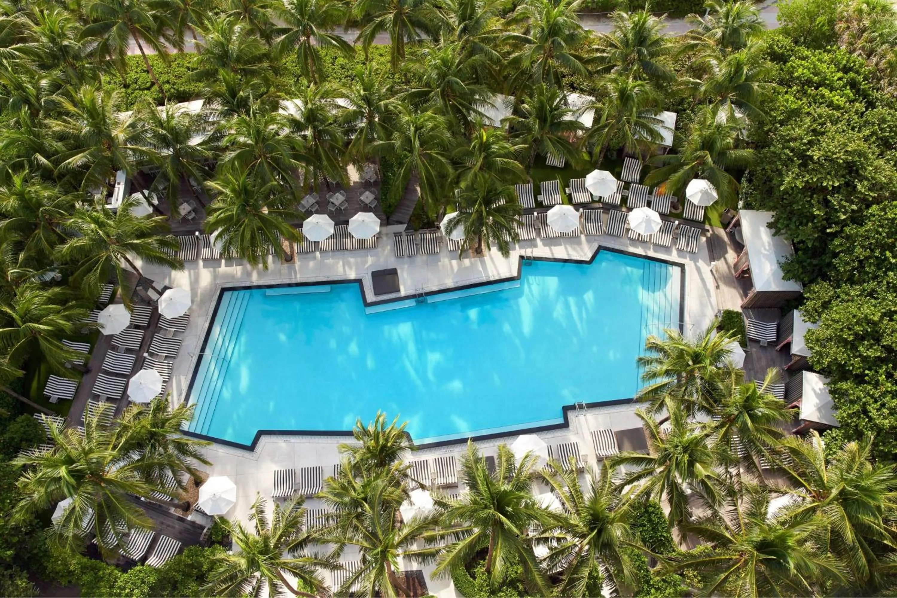 Swimming pool in W South Beach