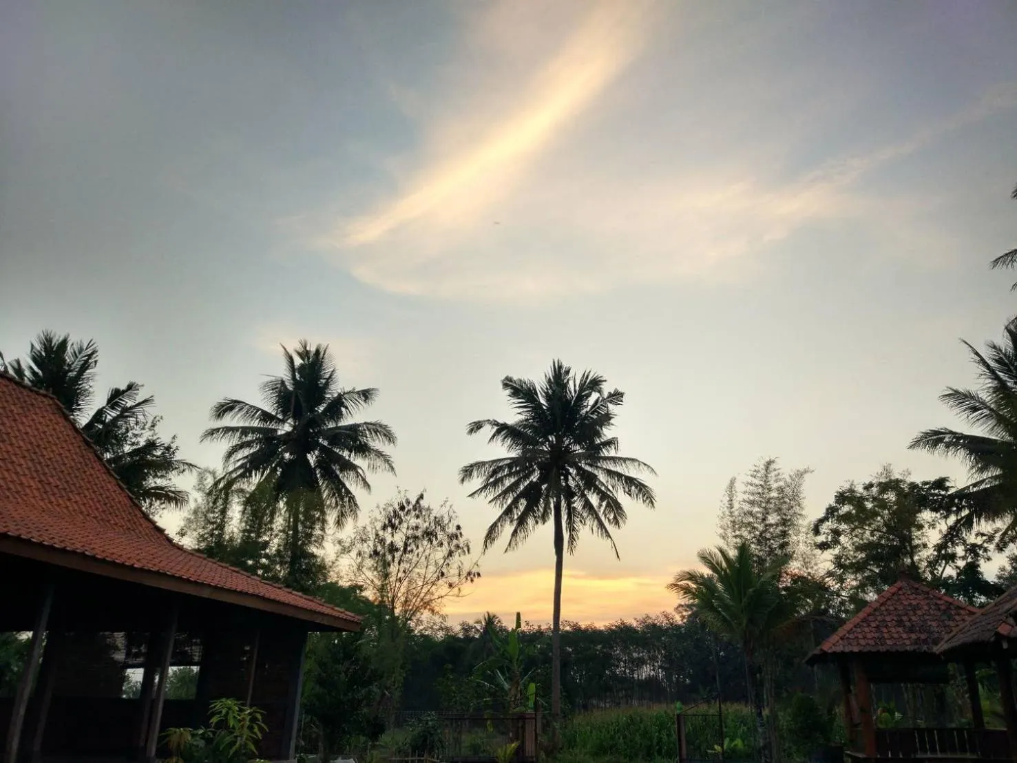 Sunset in JOGLO Greenhouse