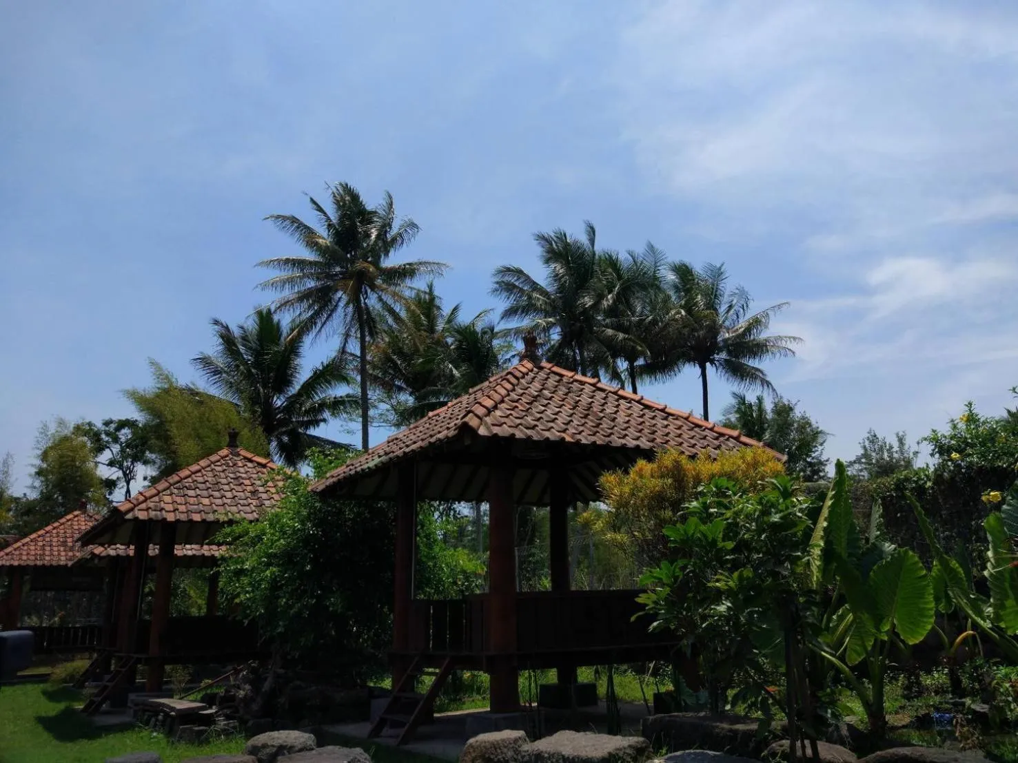 Property building in JOGLO Greenhouse
