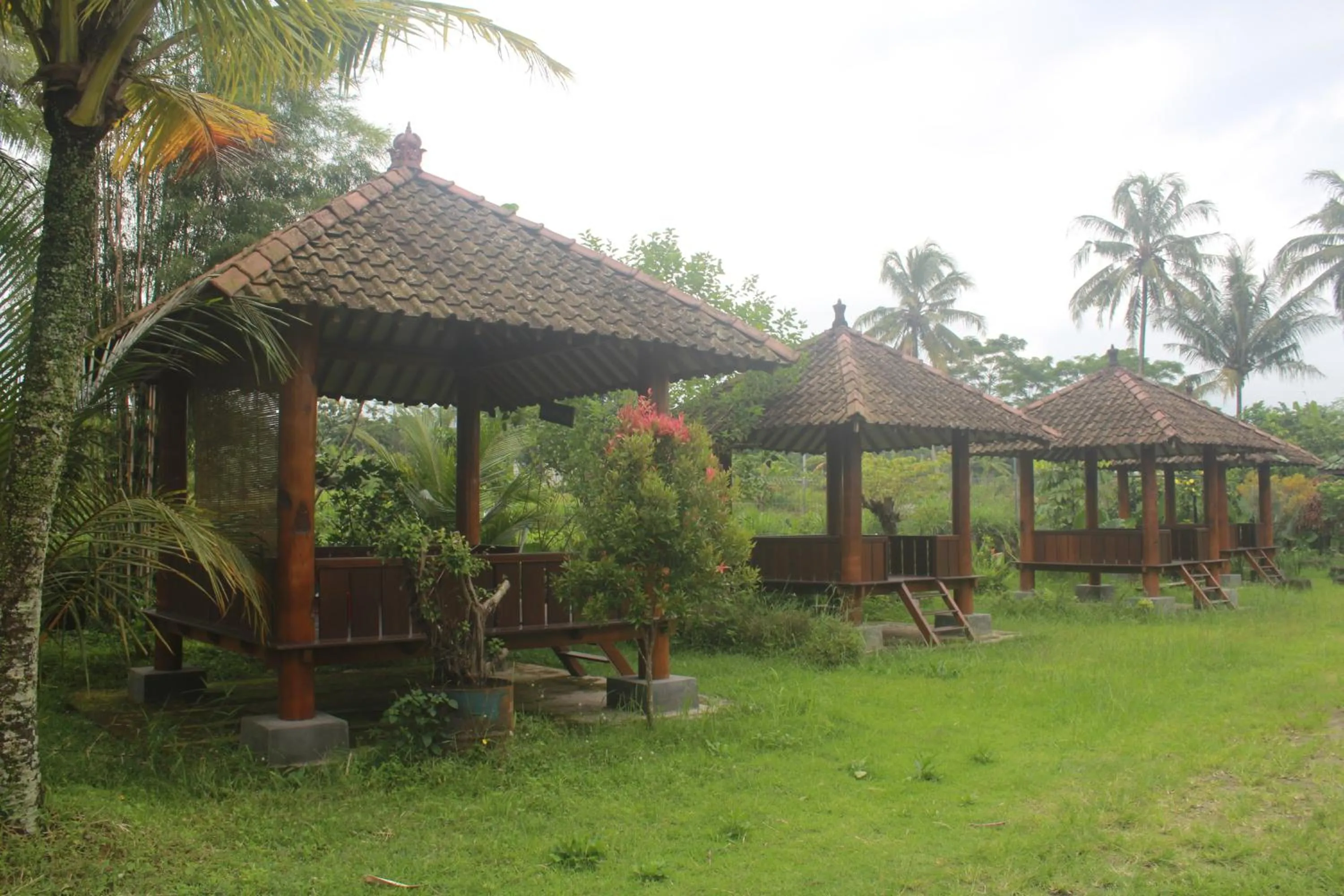 Property building in JOGLO Greenhouse