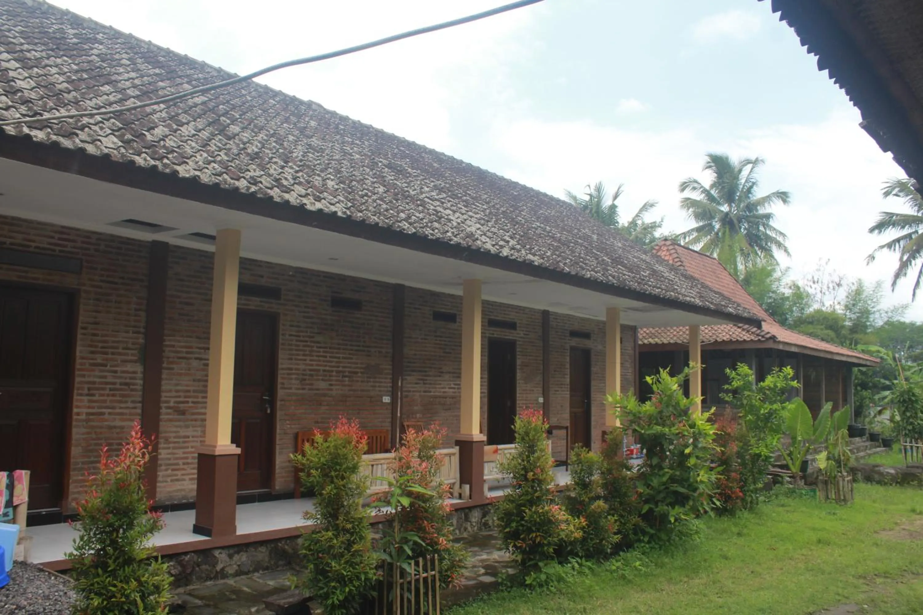 Property building in JOGLO Greenhouse