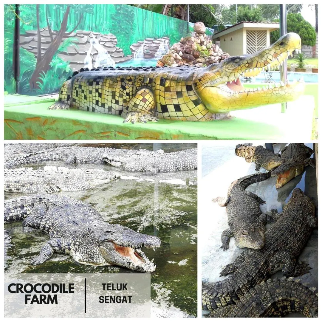 Desaru, Bayu Balau Beach Resort