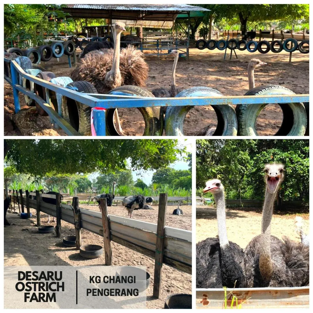 Desaru, Bayu Balau Beach Resort