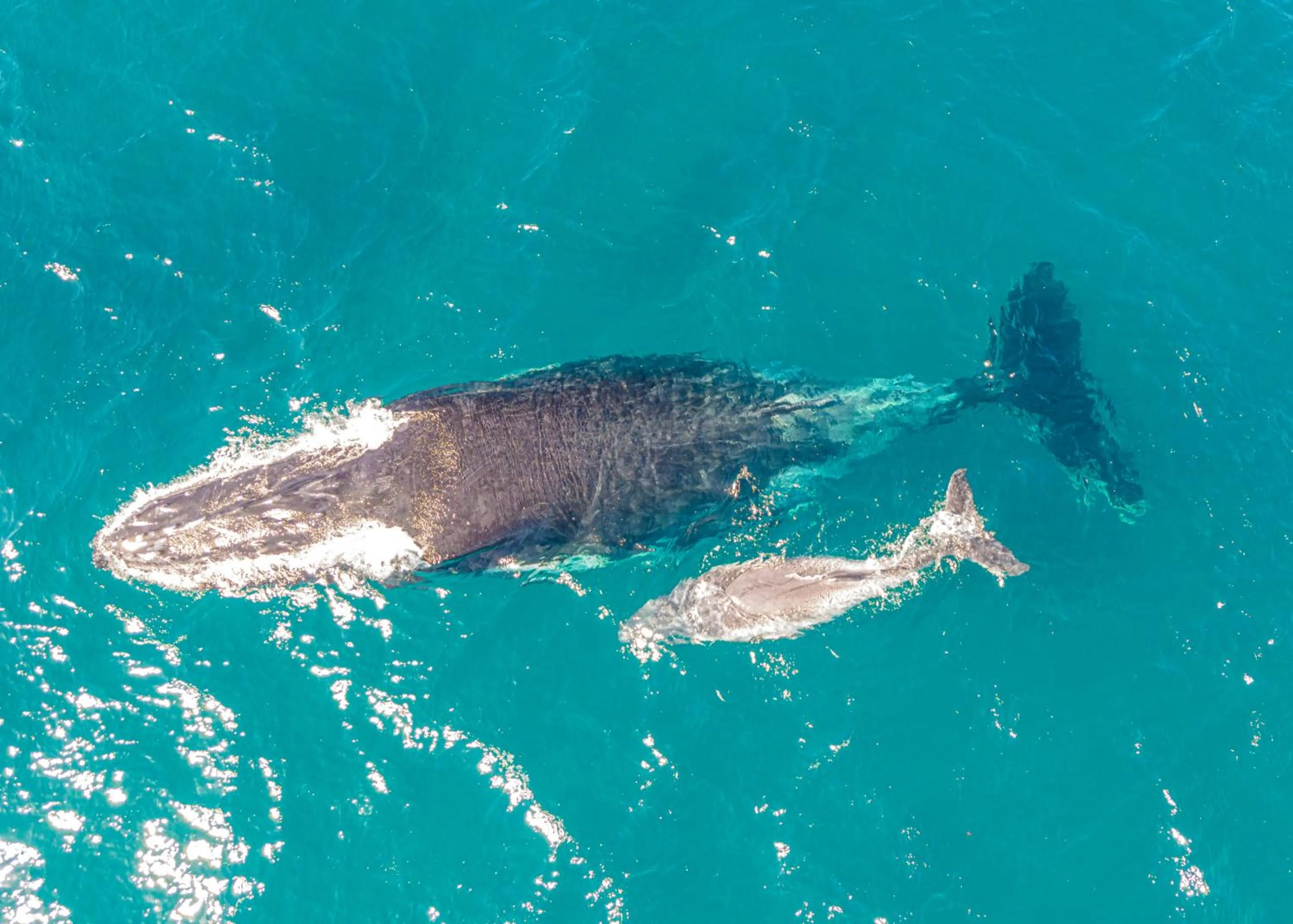 Bird's eye view in Sky Island Resort