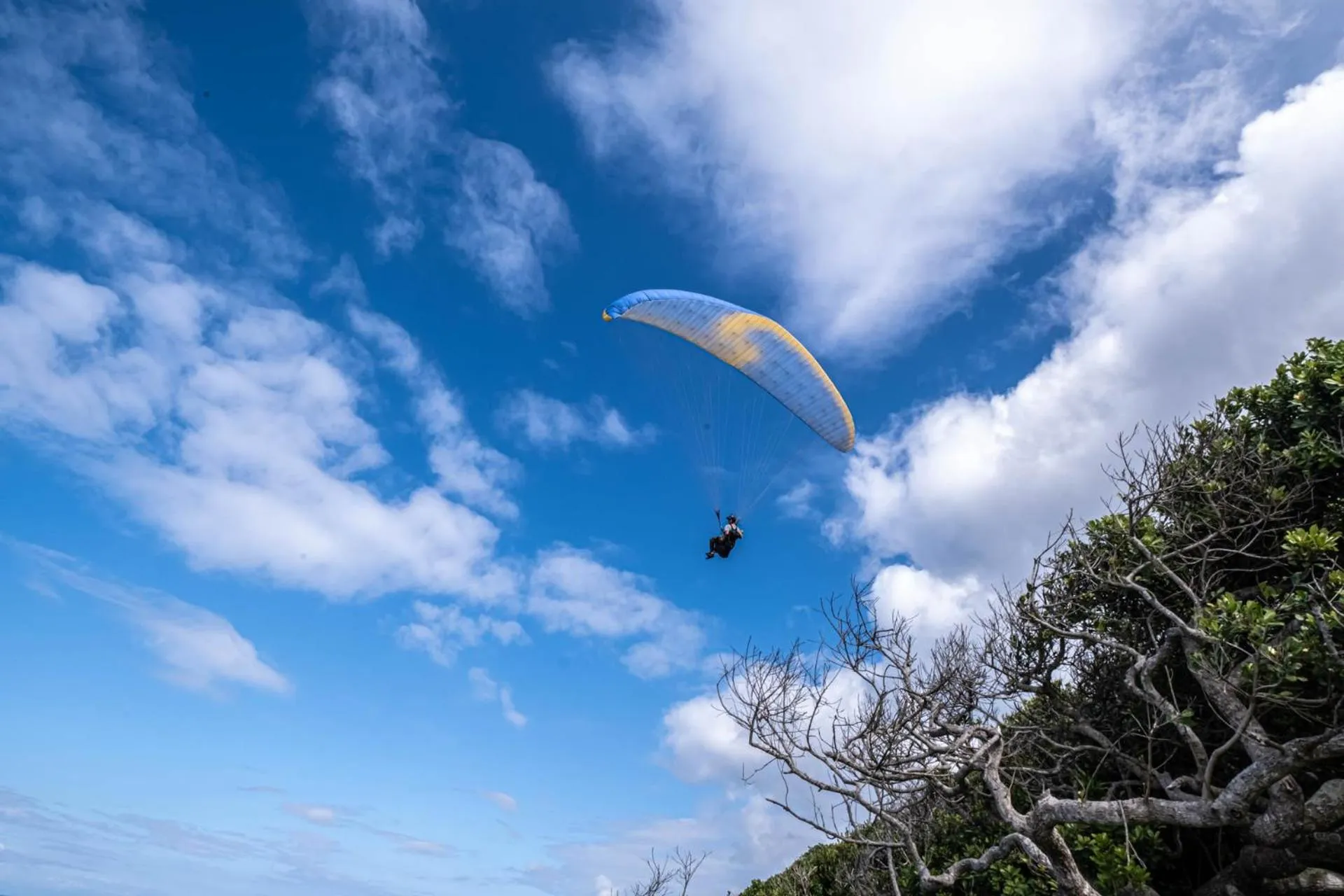 Activities in Sky Island Resort