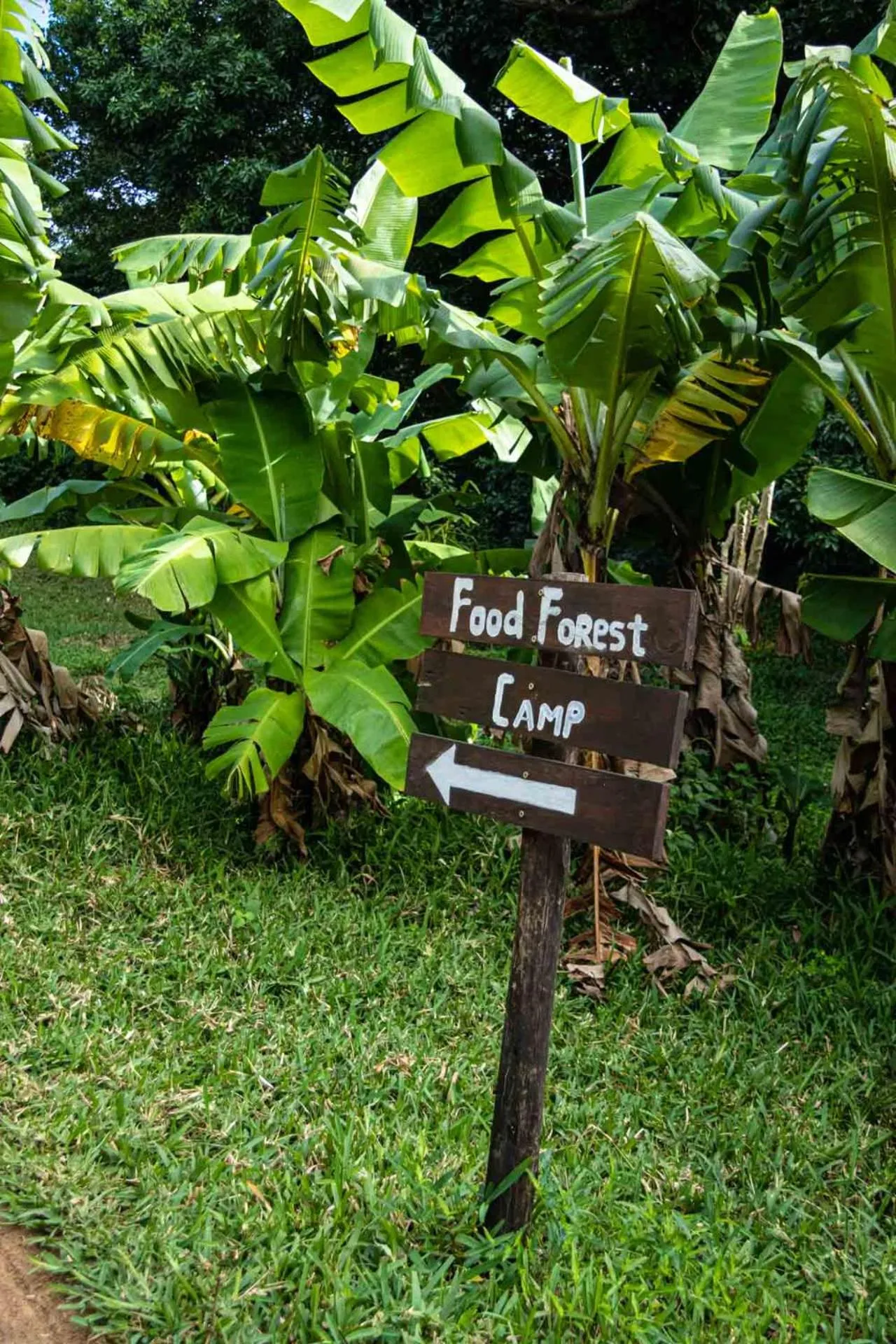 Property logo or sign in Sky Island Resort