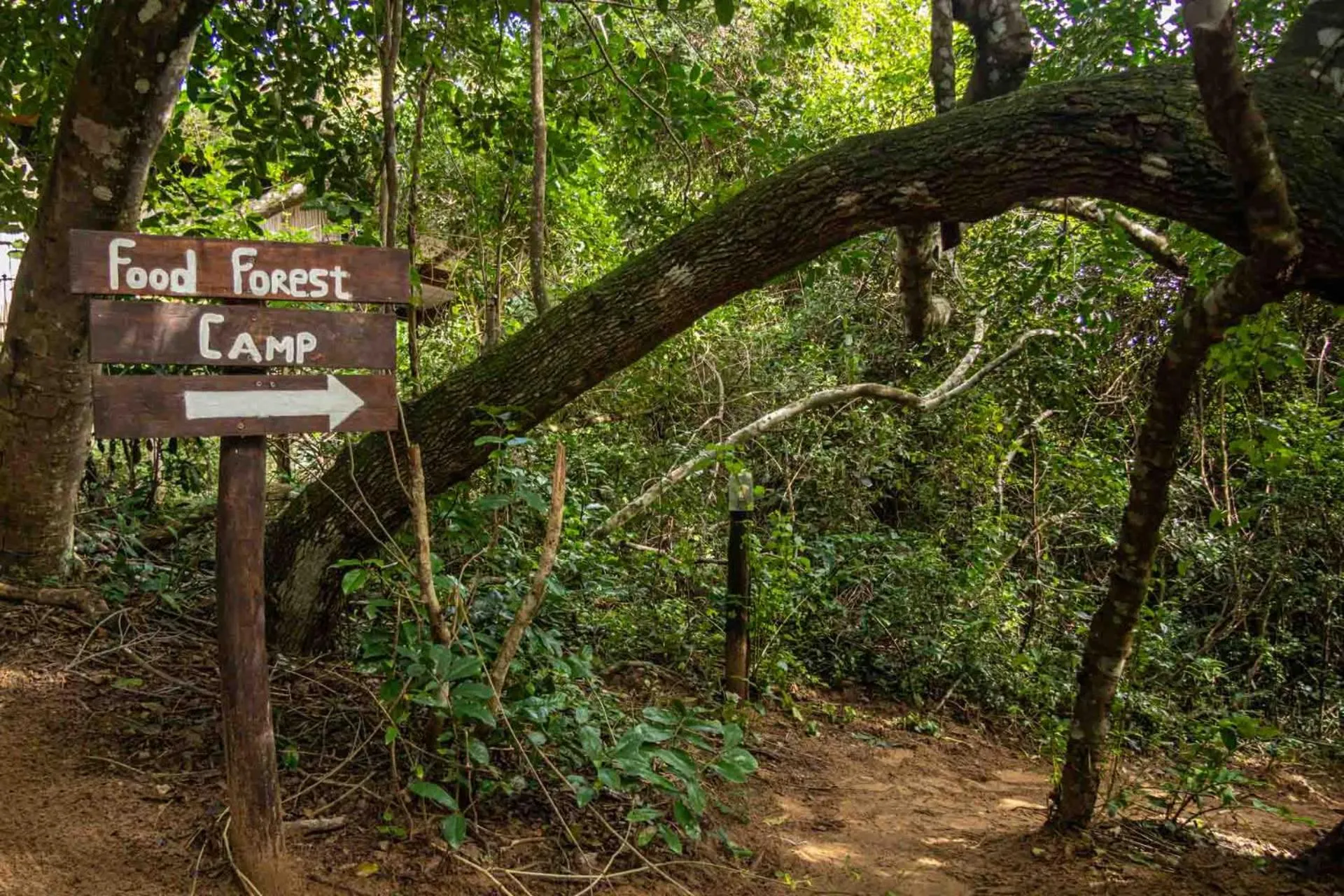 Property logo or sign in Sky Island Resort