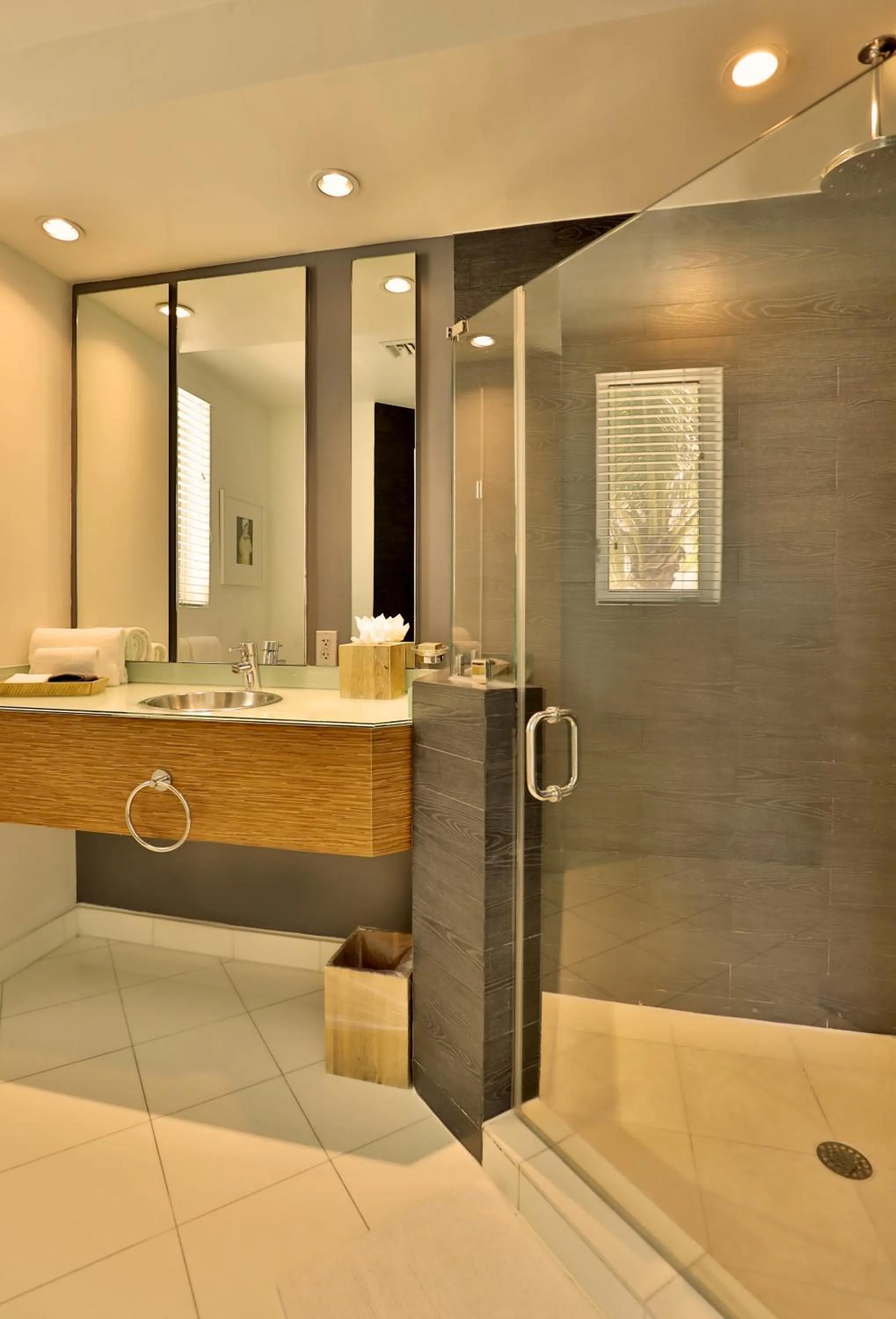 Shower in The Local House