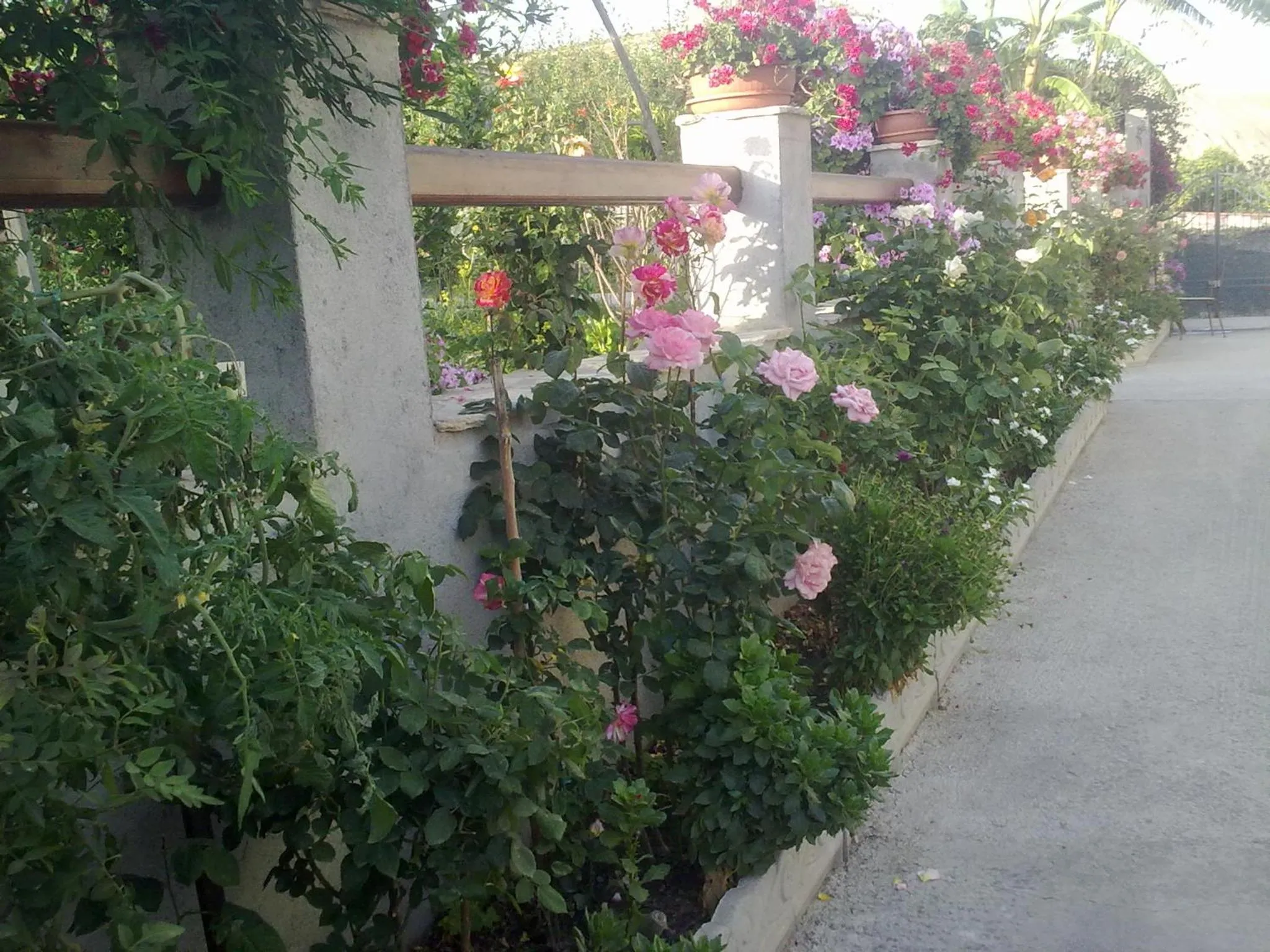 Property building in Villa delle rose