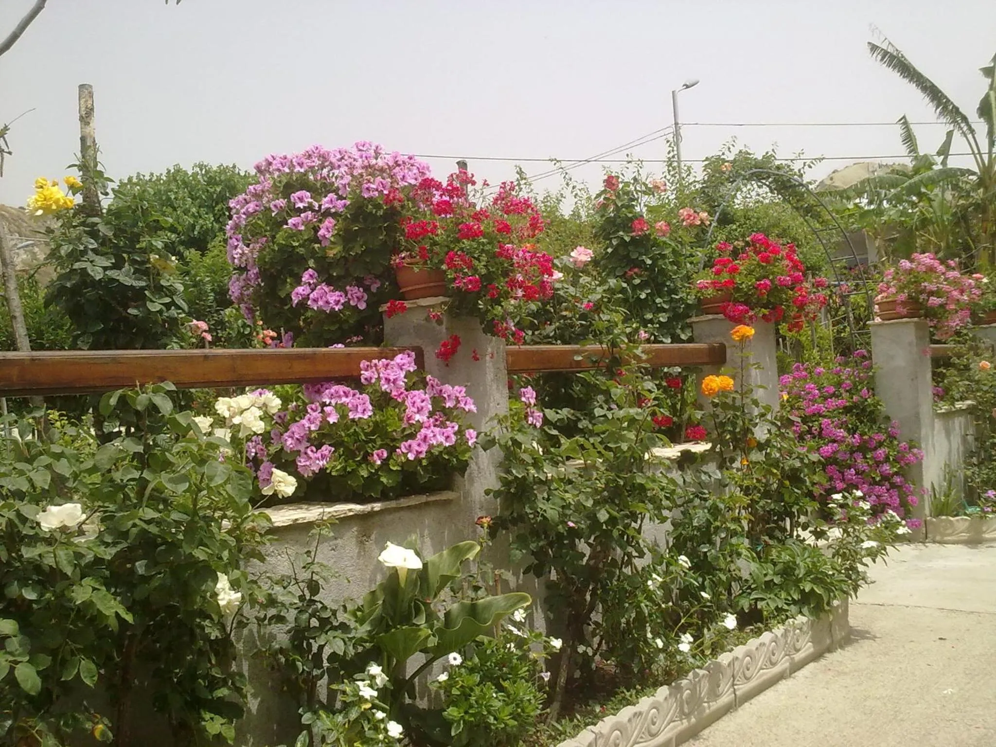 Property building in Villa delle rose