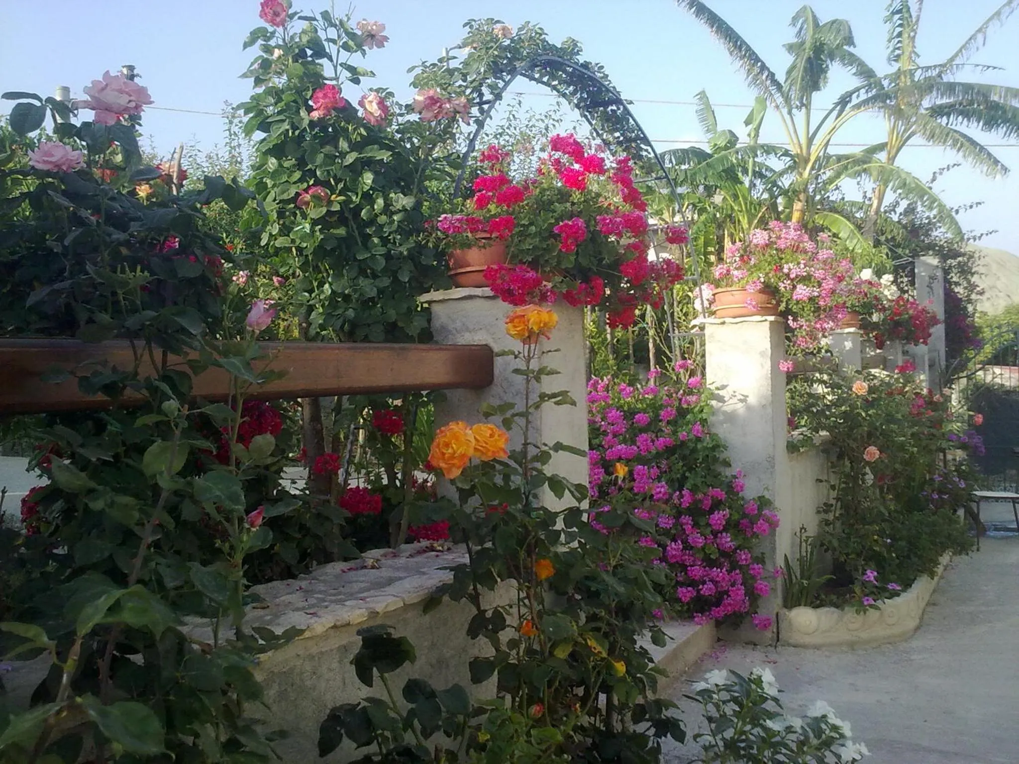 Property building in Villa delle rose