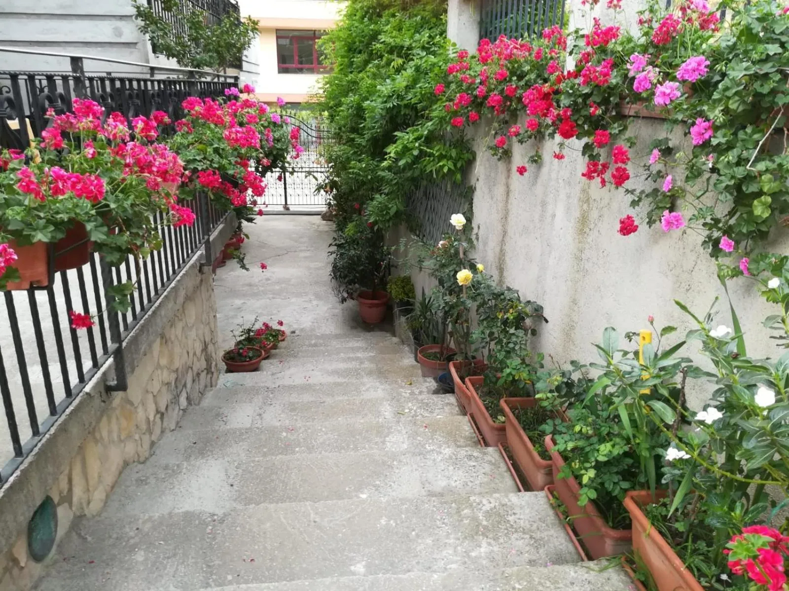 Property building in Villa delle rose