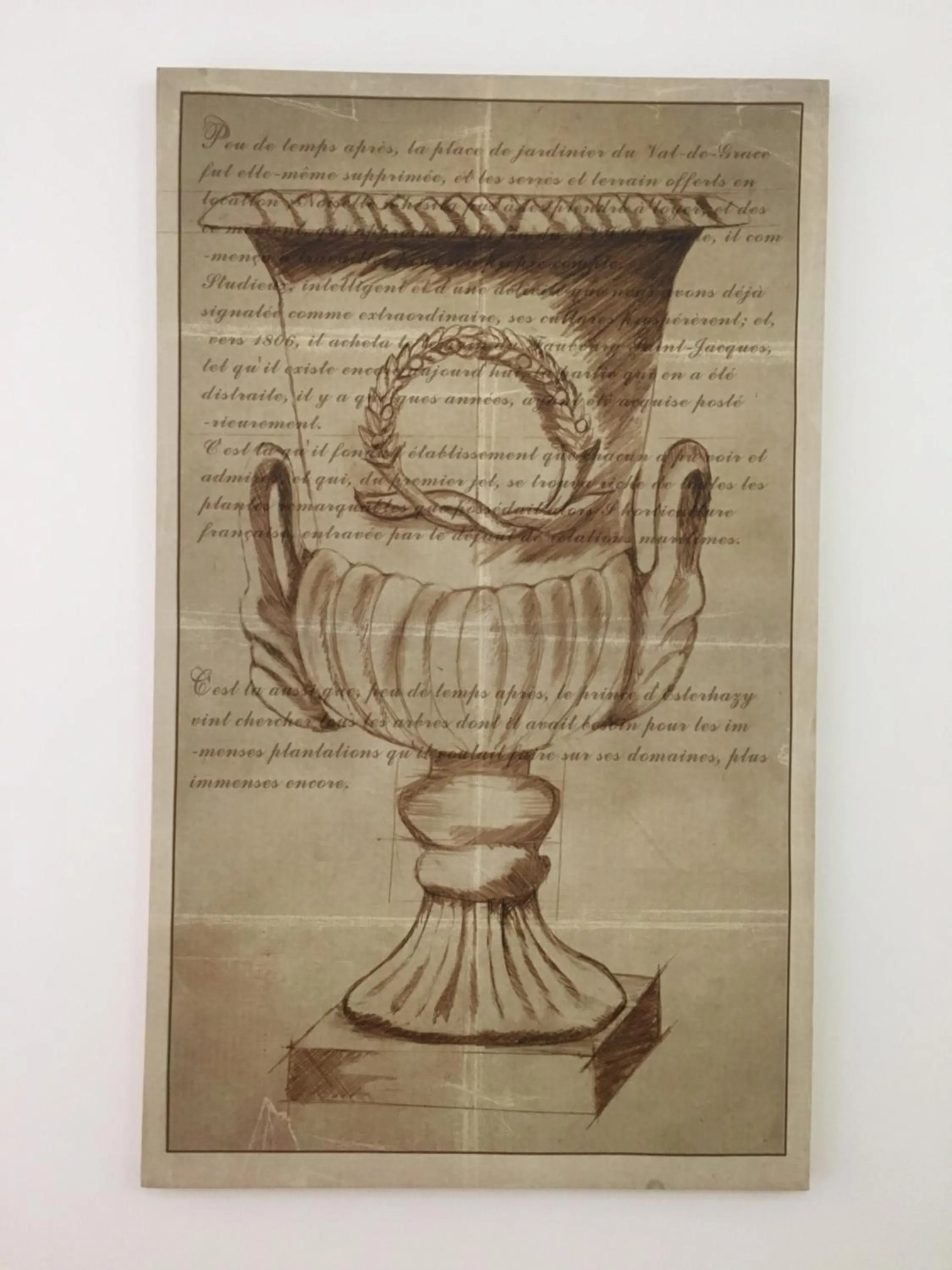 La finestra sul Colosseo B&B 1