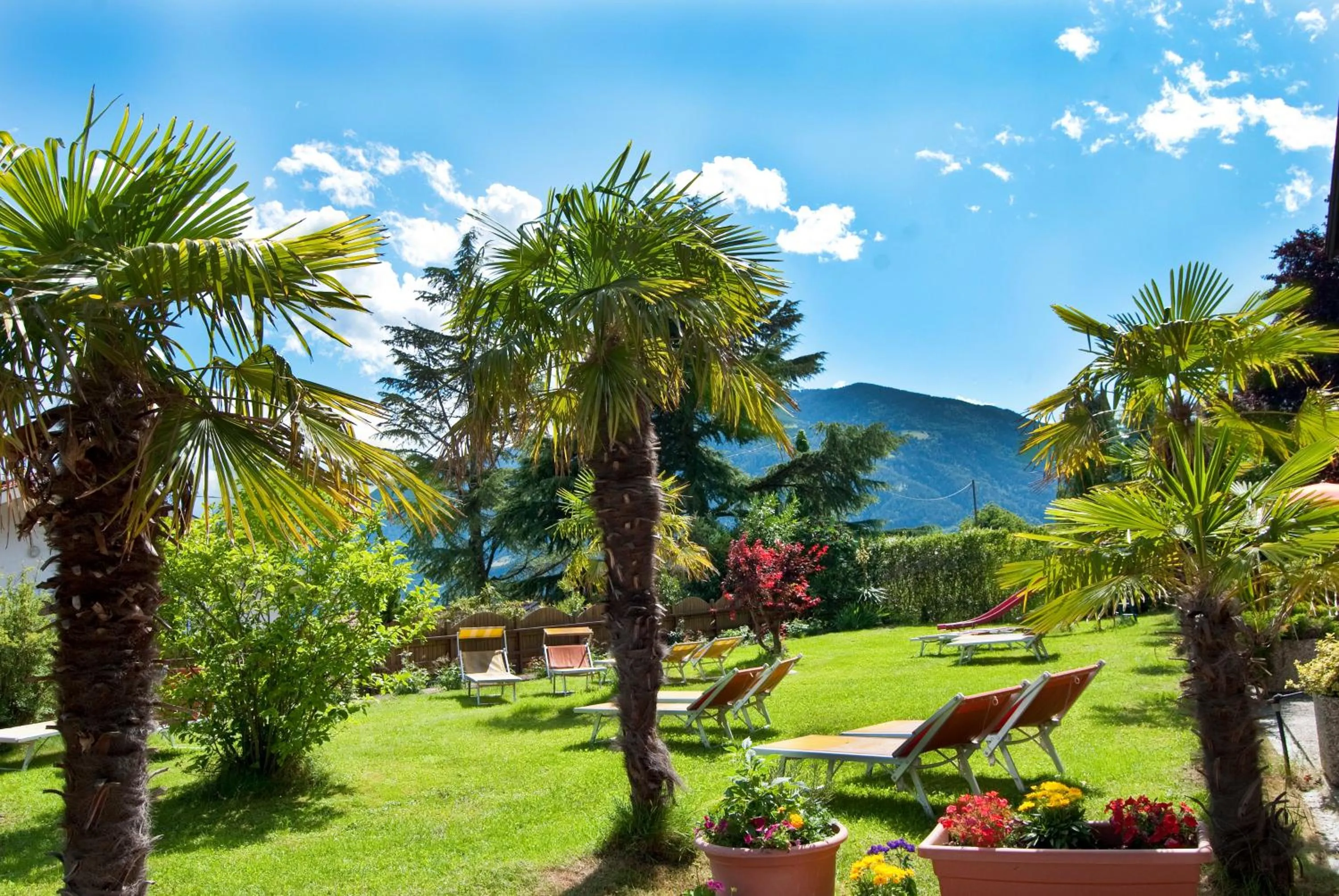 Garden in Hotel Appartement Inge