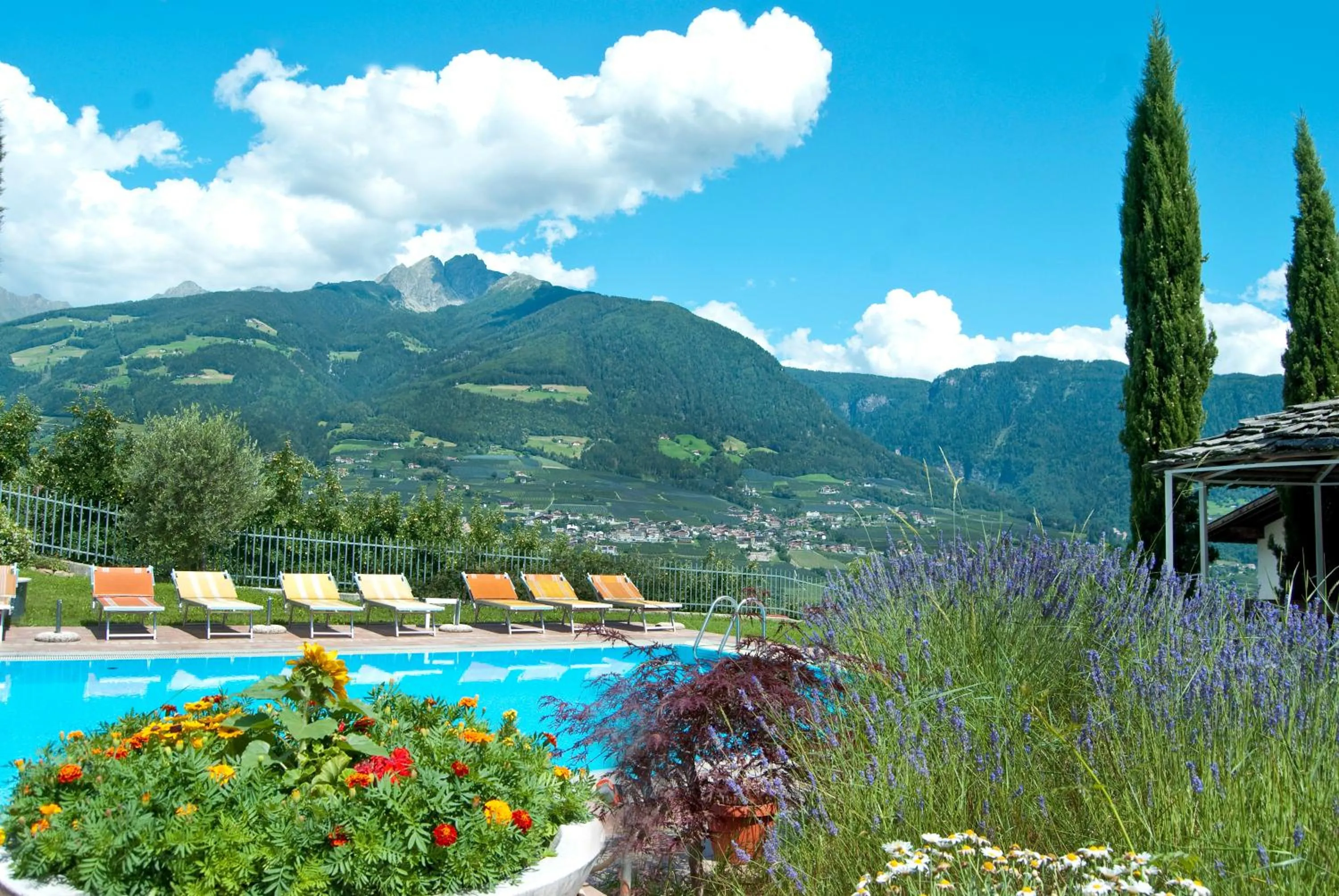 Garden in Hotel Appartement Inge