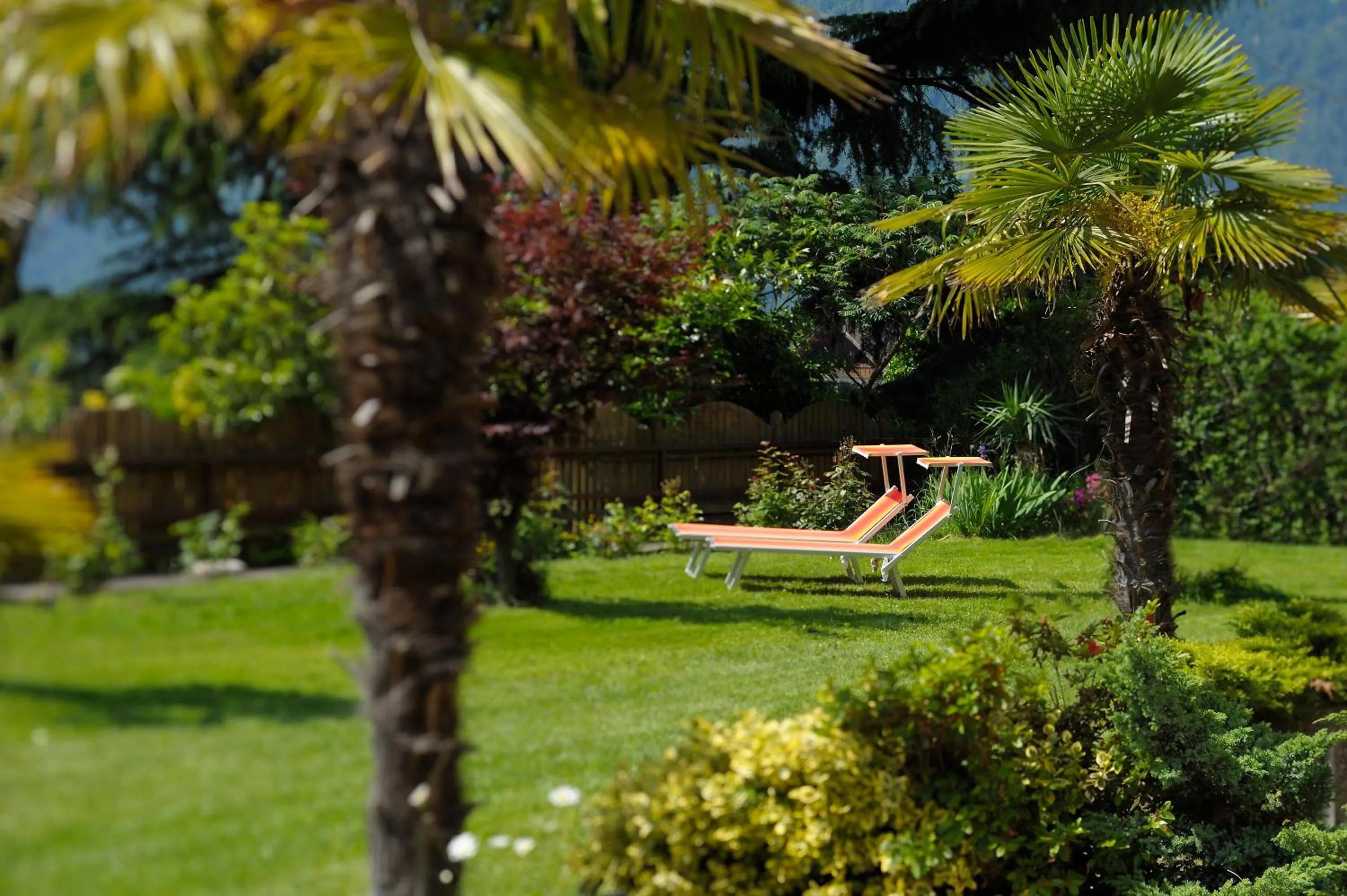 Day in Hotel Appartement Inge