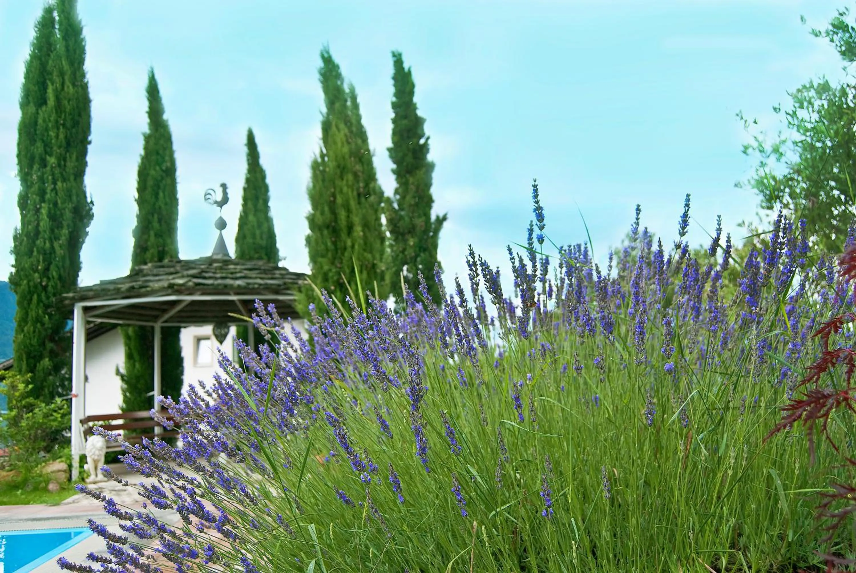 Garden in Hotel Appartement Inge