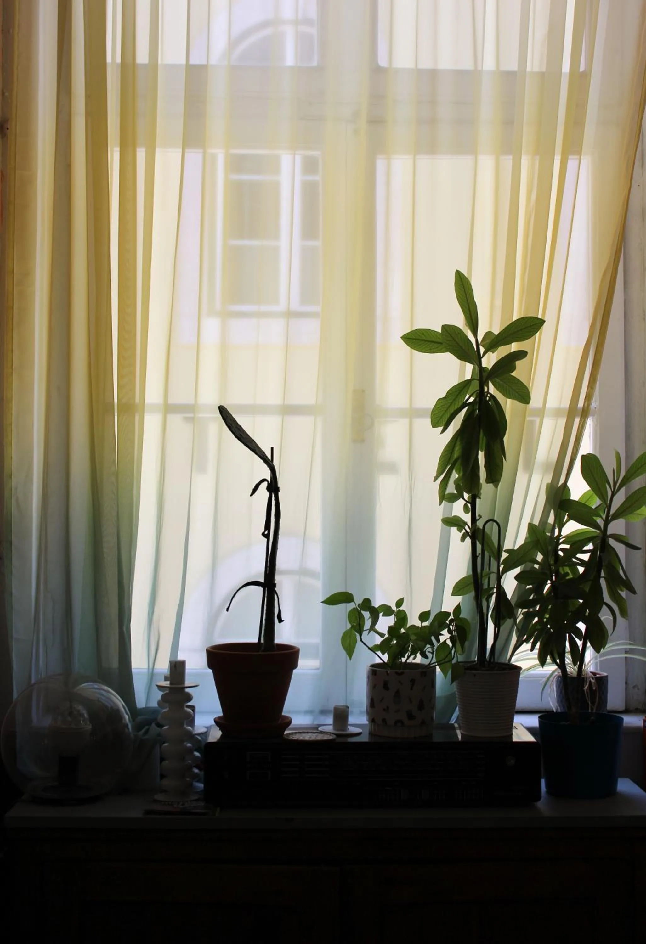 Decorative detail in Rossio Hostel