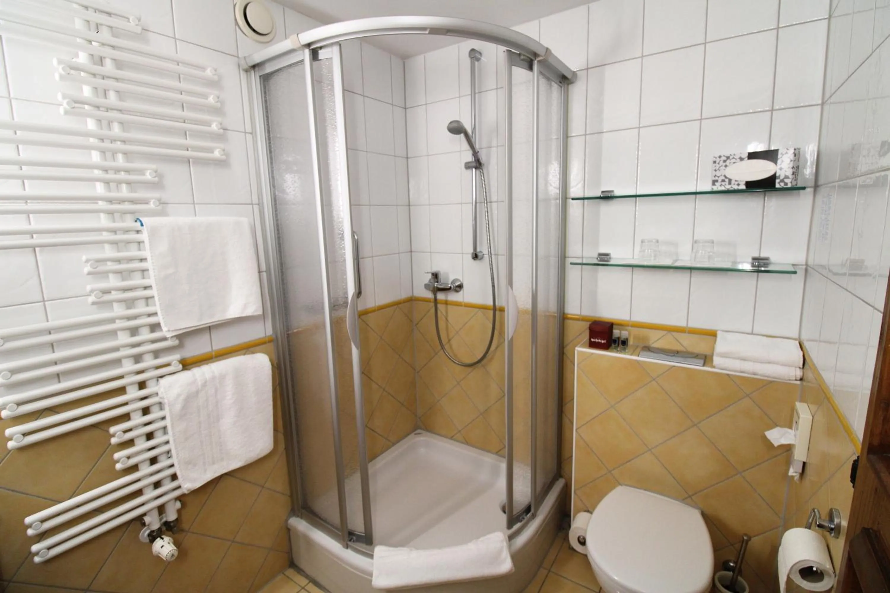 Shower in Hotel & Residence Hochriegel