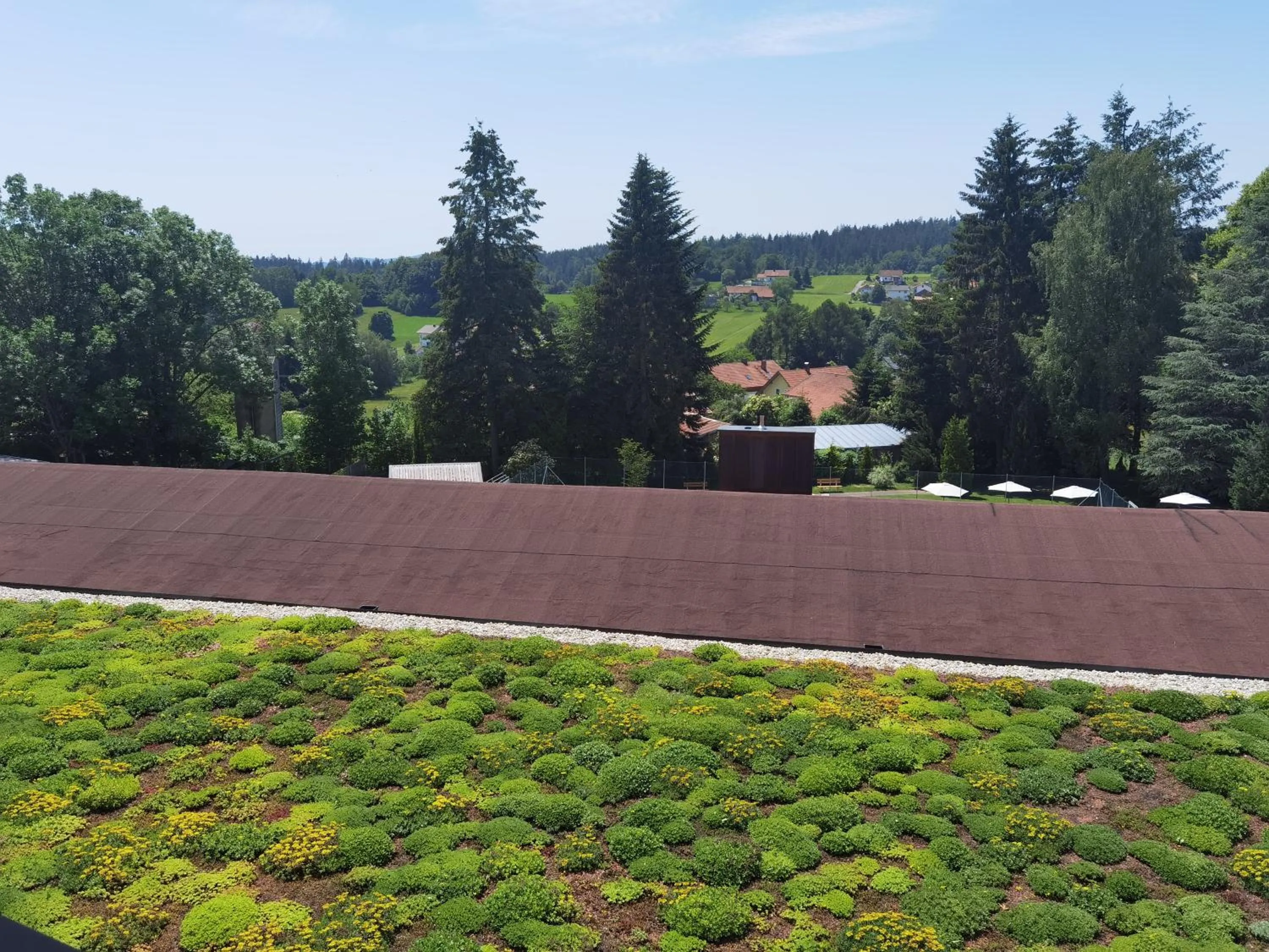 Natural landscape in Hotel & Residence Hochriegel