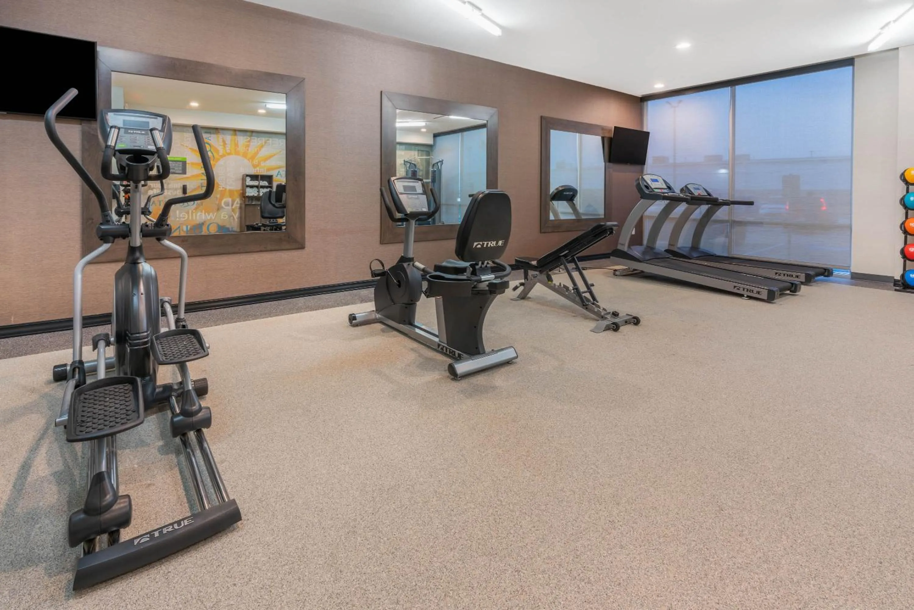 Fitness centre/facilities in La Quinta Inn and Suites by Wyndham Houston Spring South