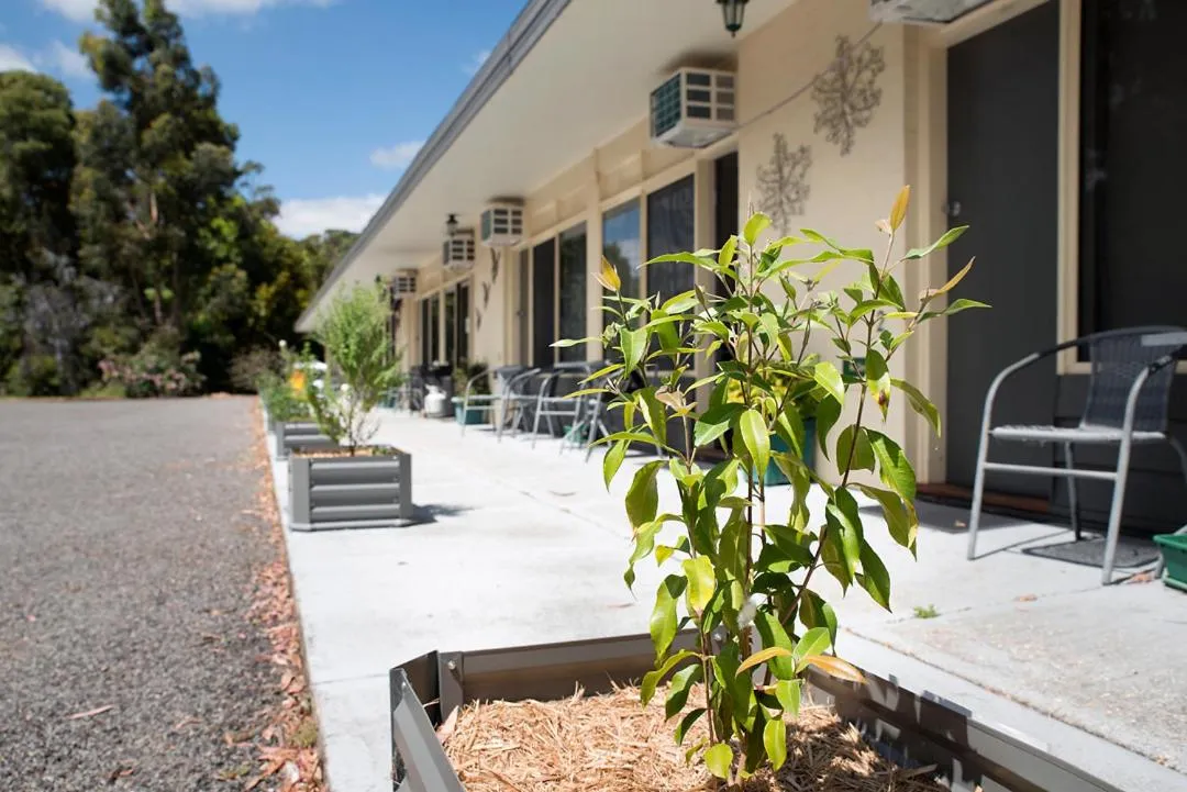 Garden in Gariwerd Motel