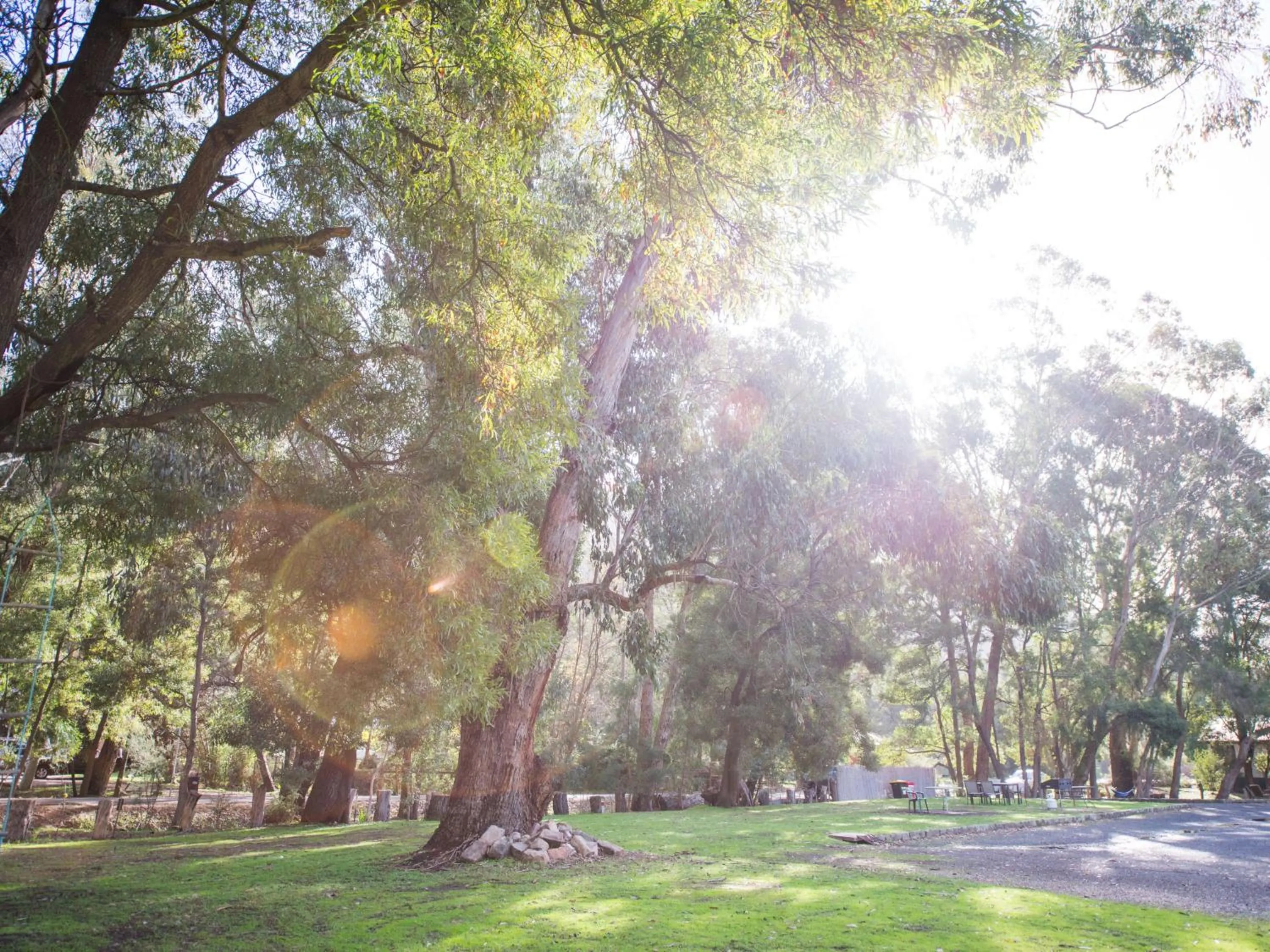 Day in Gariwerd Motel