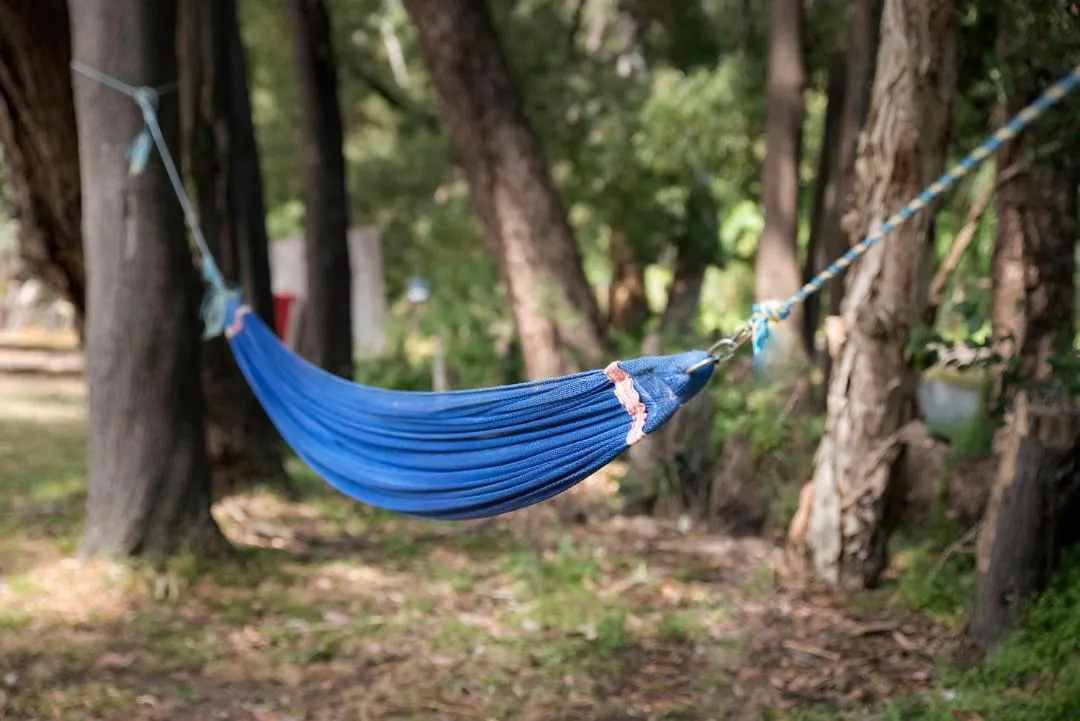 Garden in Gariwerd Motel